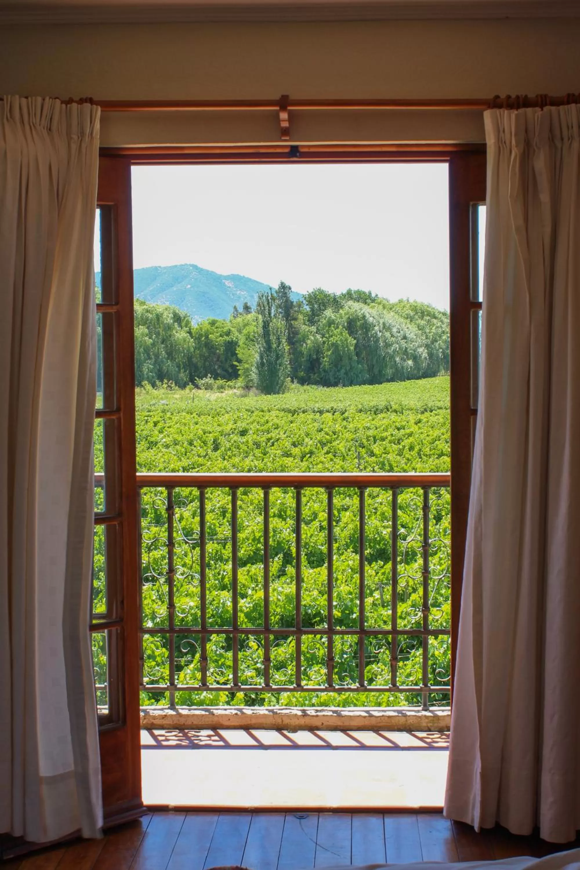 Balcony/Terrace in Hotel Terraviña