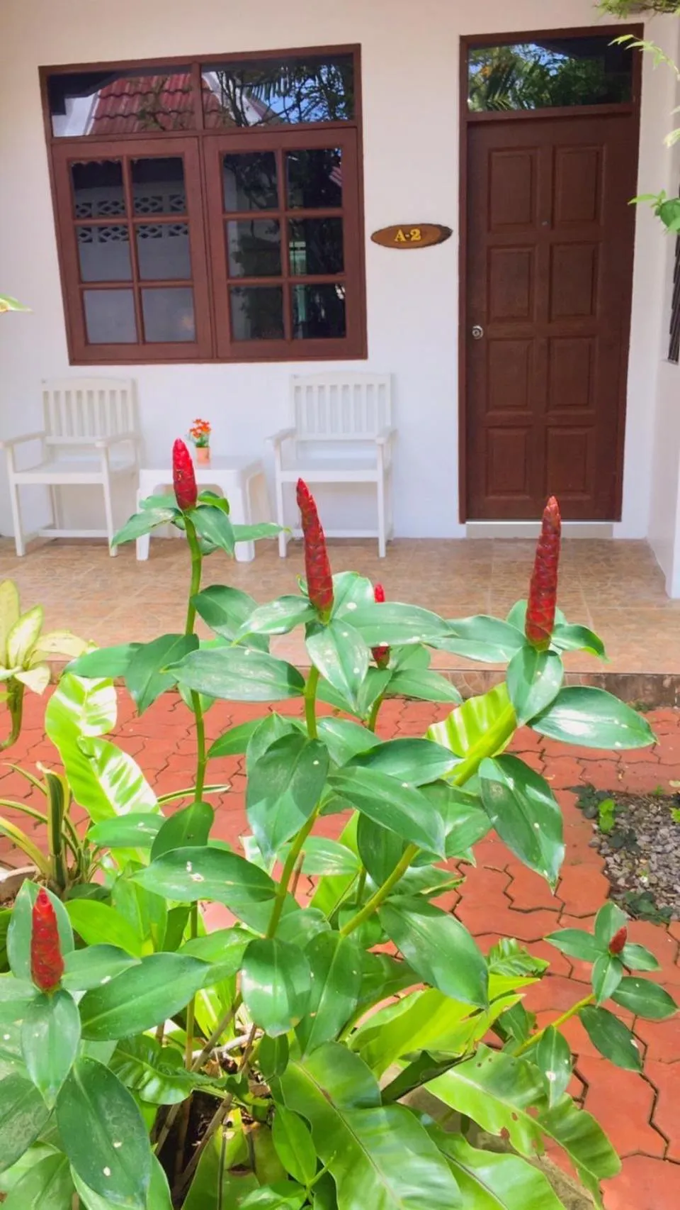 View (from property/room) in Garden Home Kata