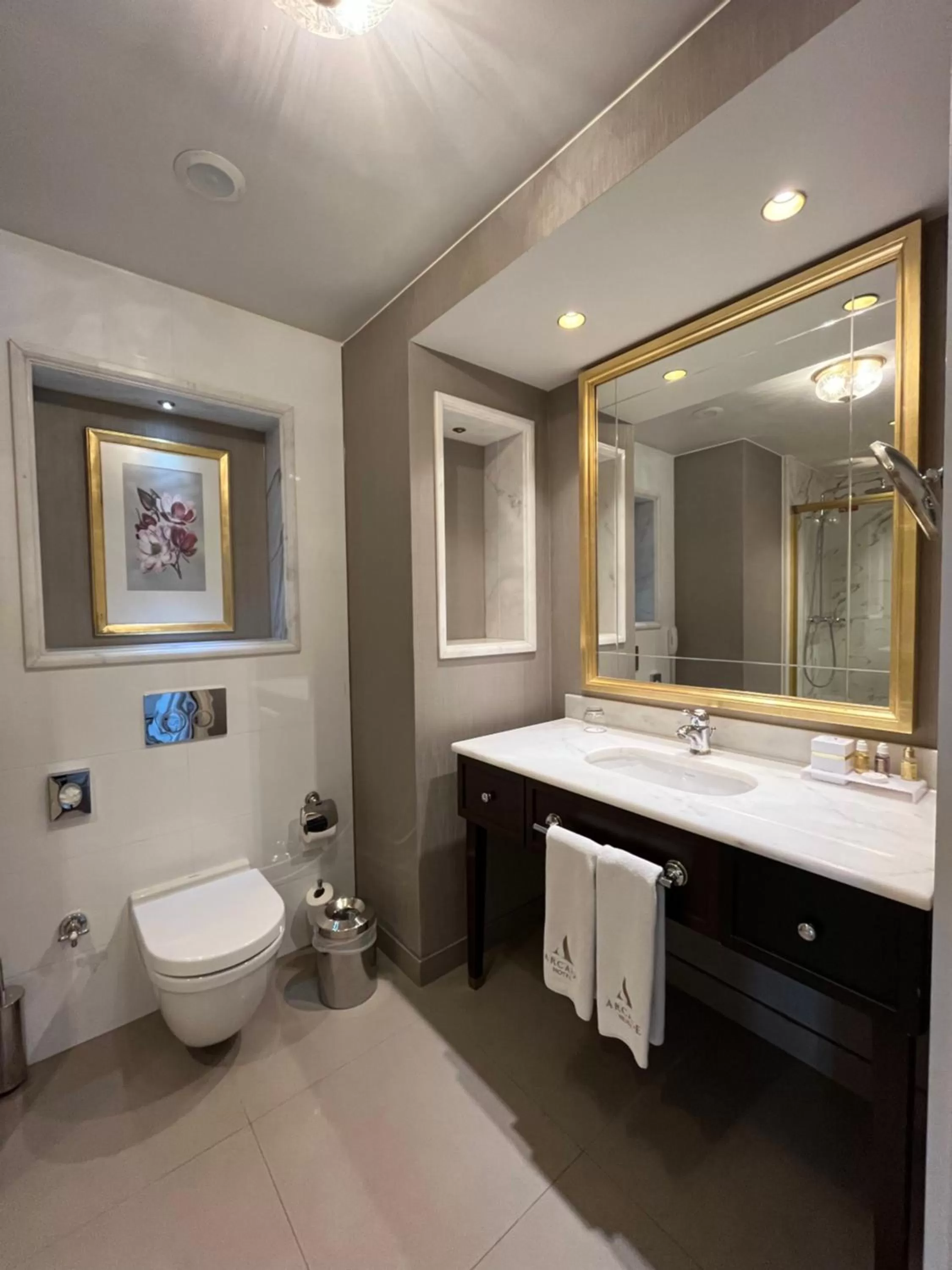 Shower in Arcade Hotel & SPA Nisantasi