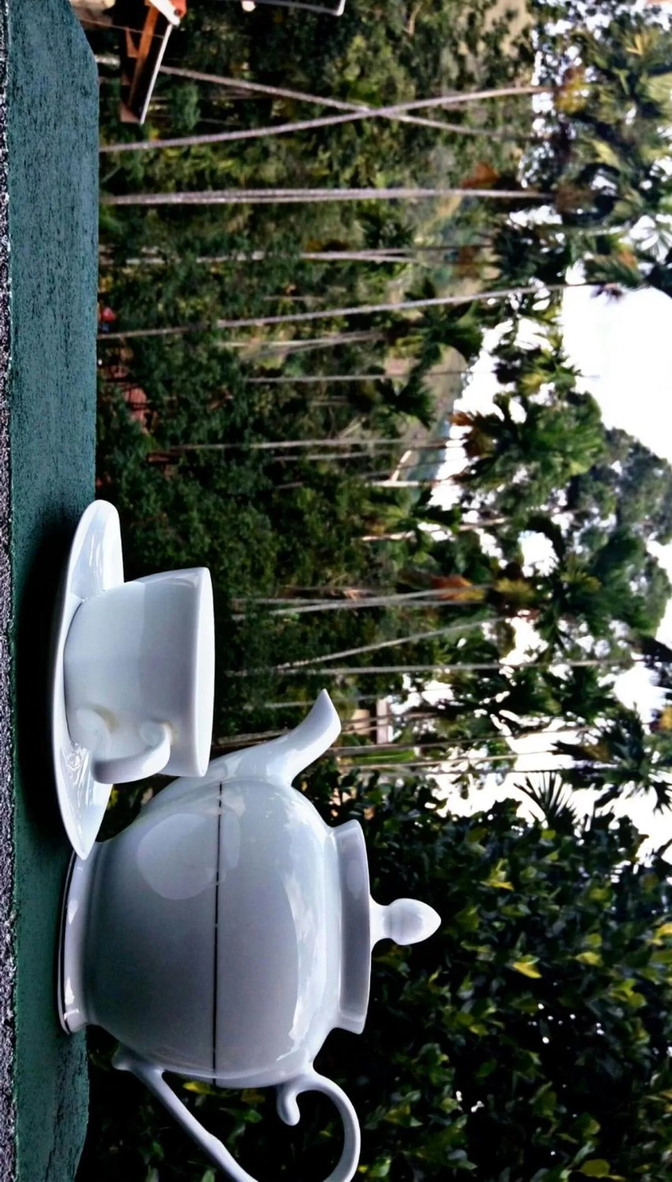 Garden view, Bathroom in Cozy Home Stay