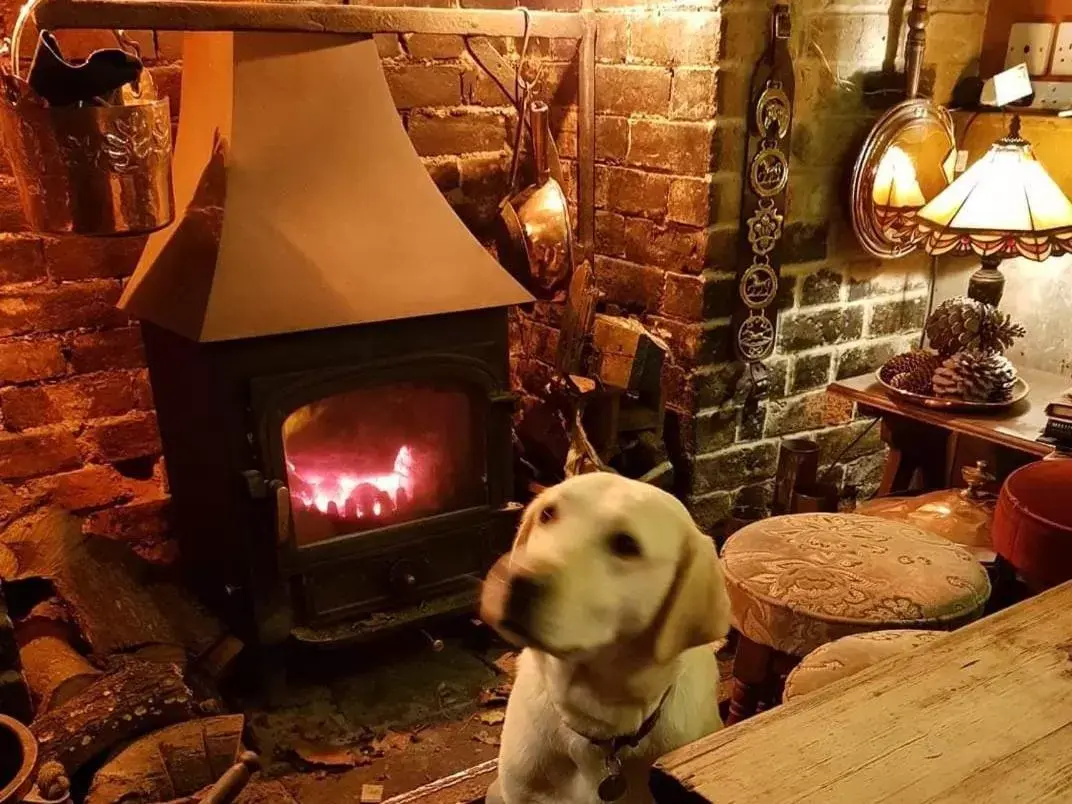 Lounge or bar, Pets in The Oak Inn Staplow