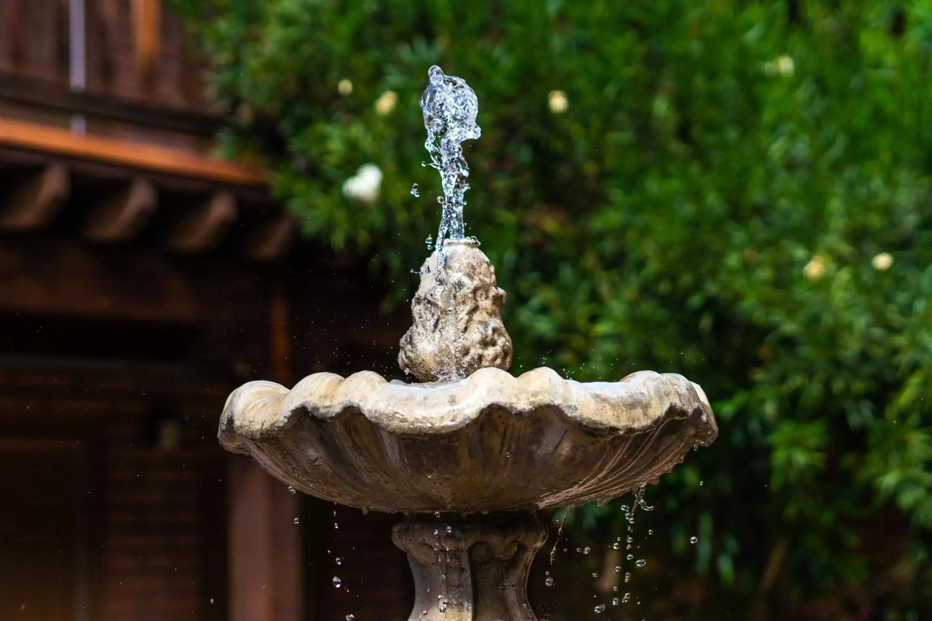 Decorative detail in Sierra Suites Boutique Hotel