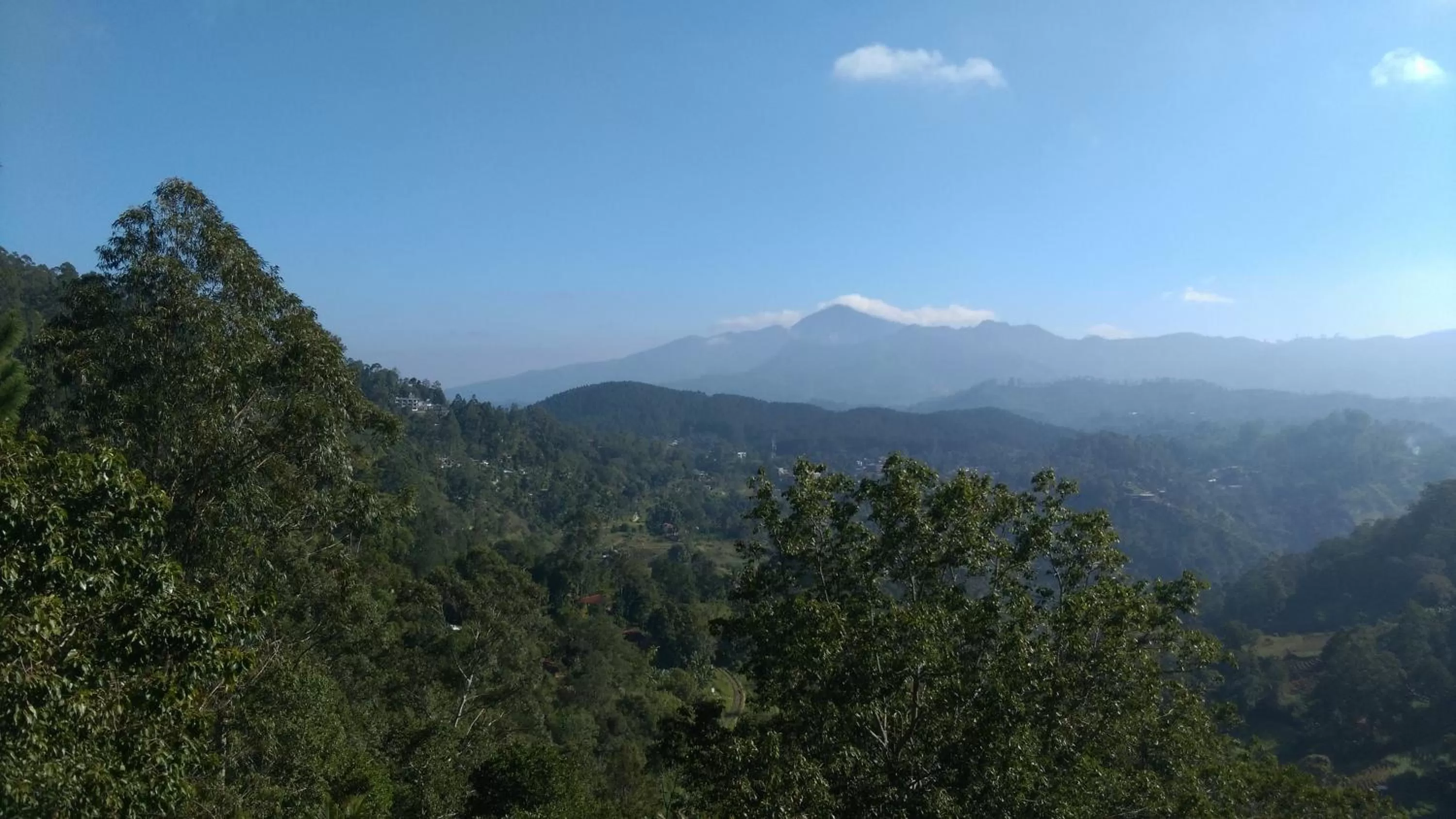 Mountain view in Ice Age Cottage