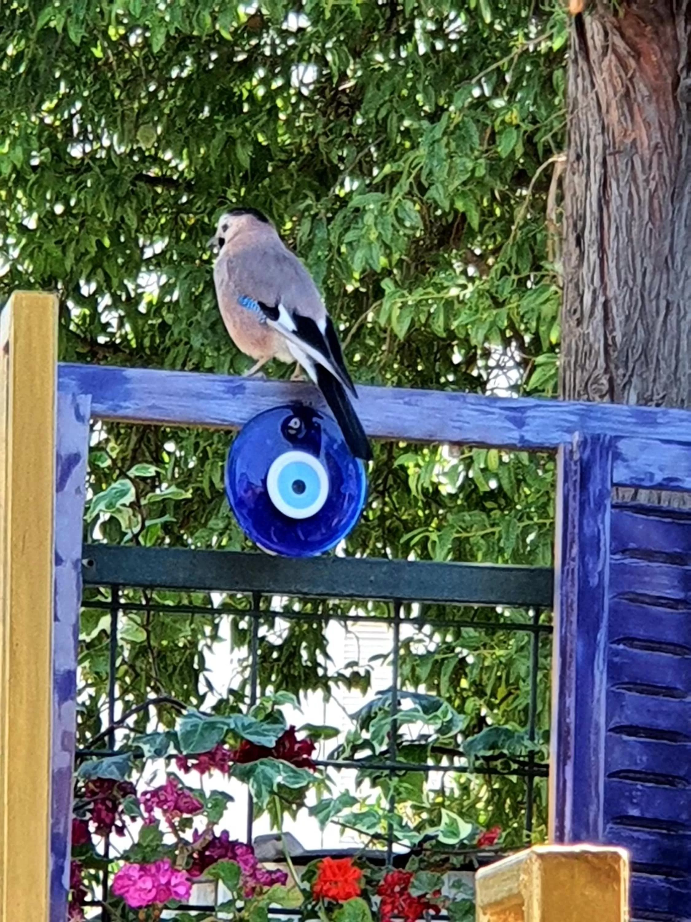 Garden in Stone House Hotel
