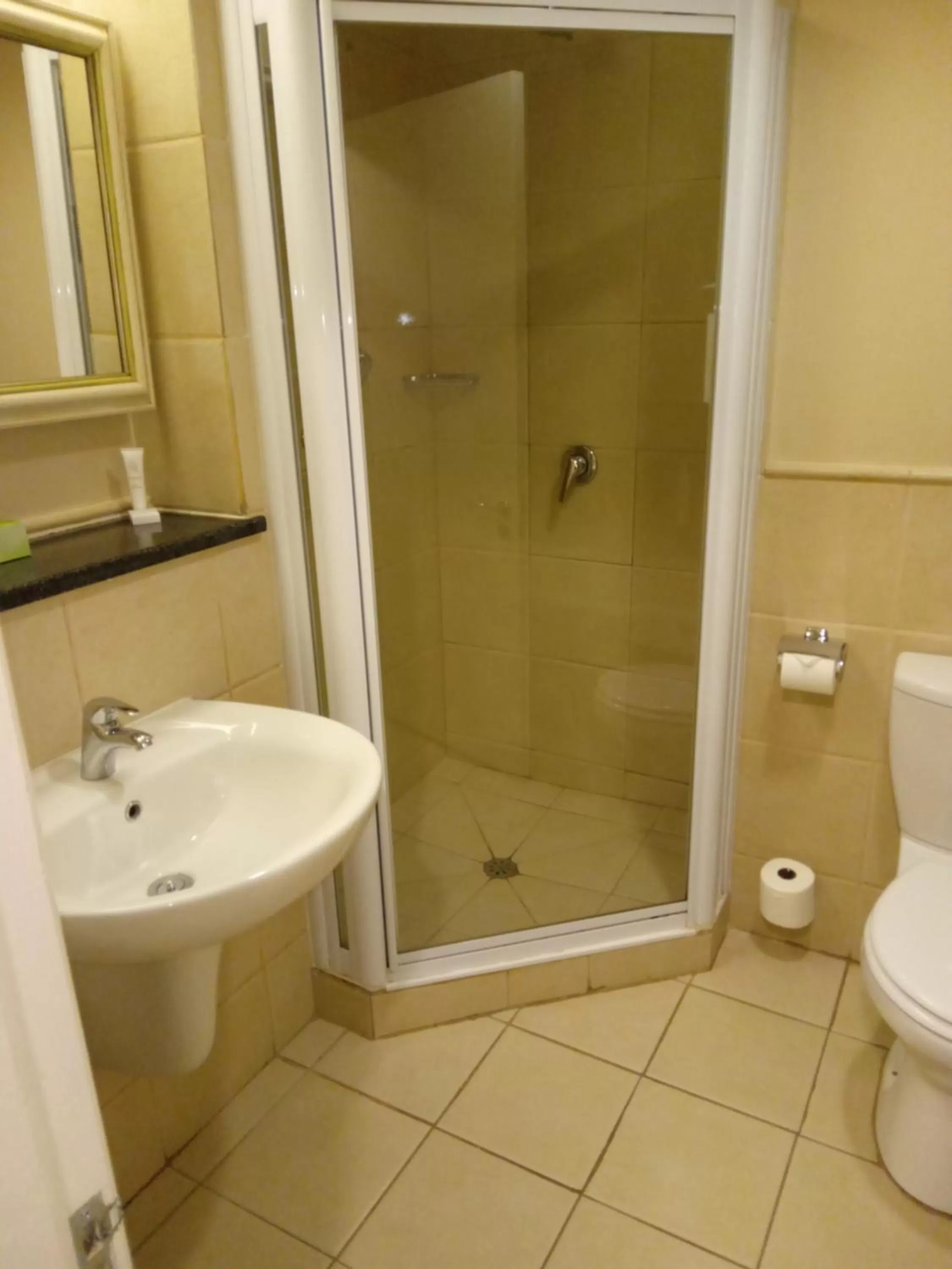 Shower in Protea Hotel by Marriott Bloemfontein