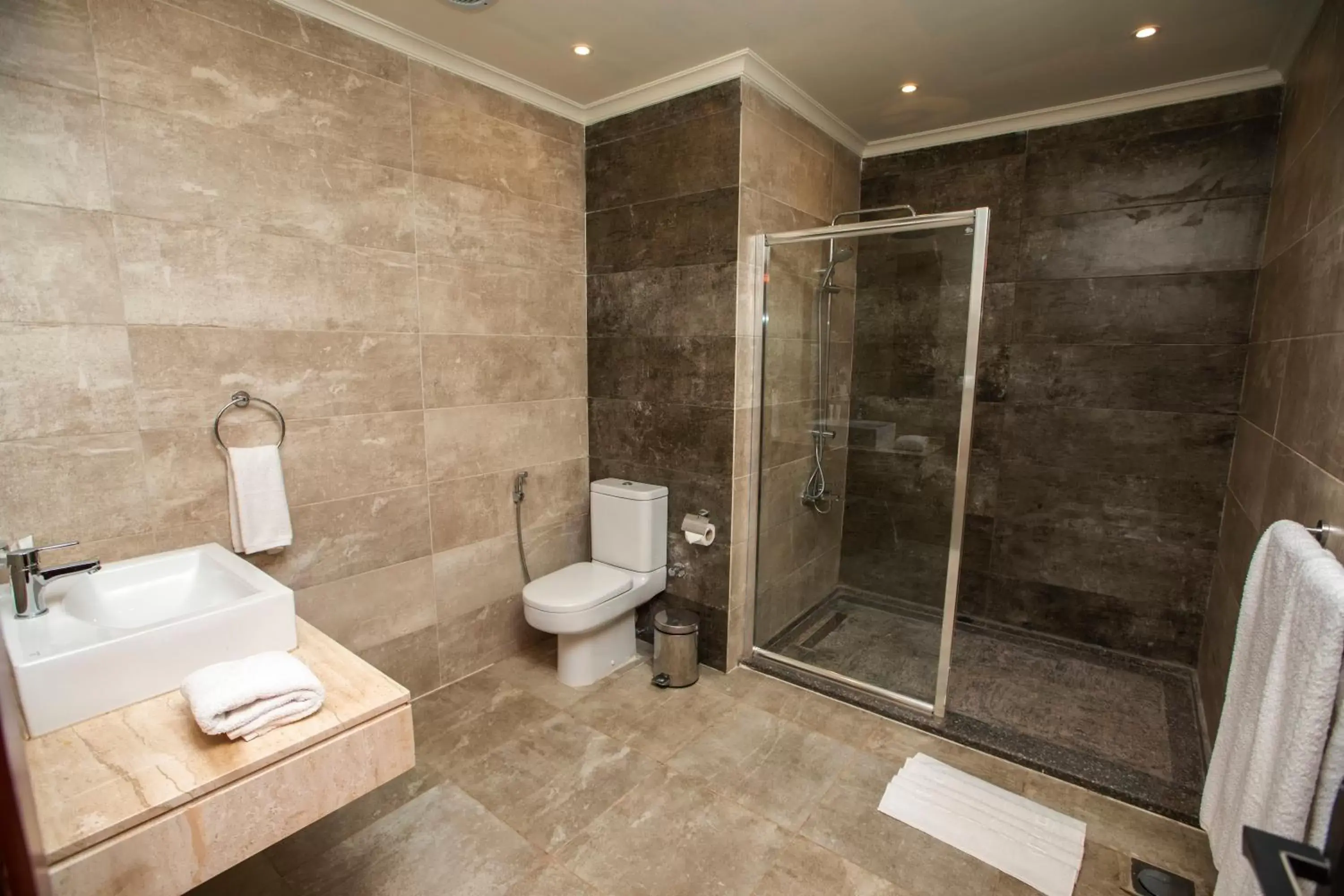 Shower, Bathroom in AIFU Hotel El Montazah Alexandria