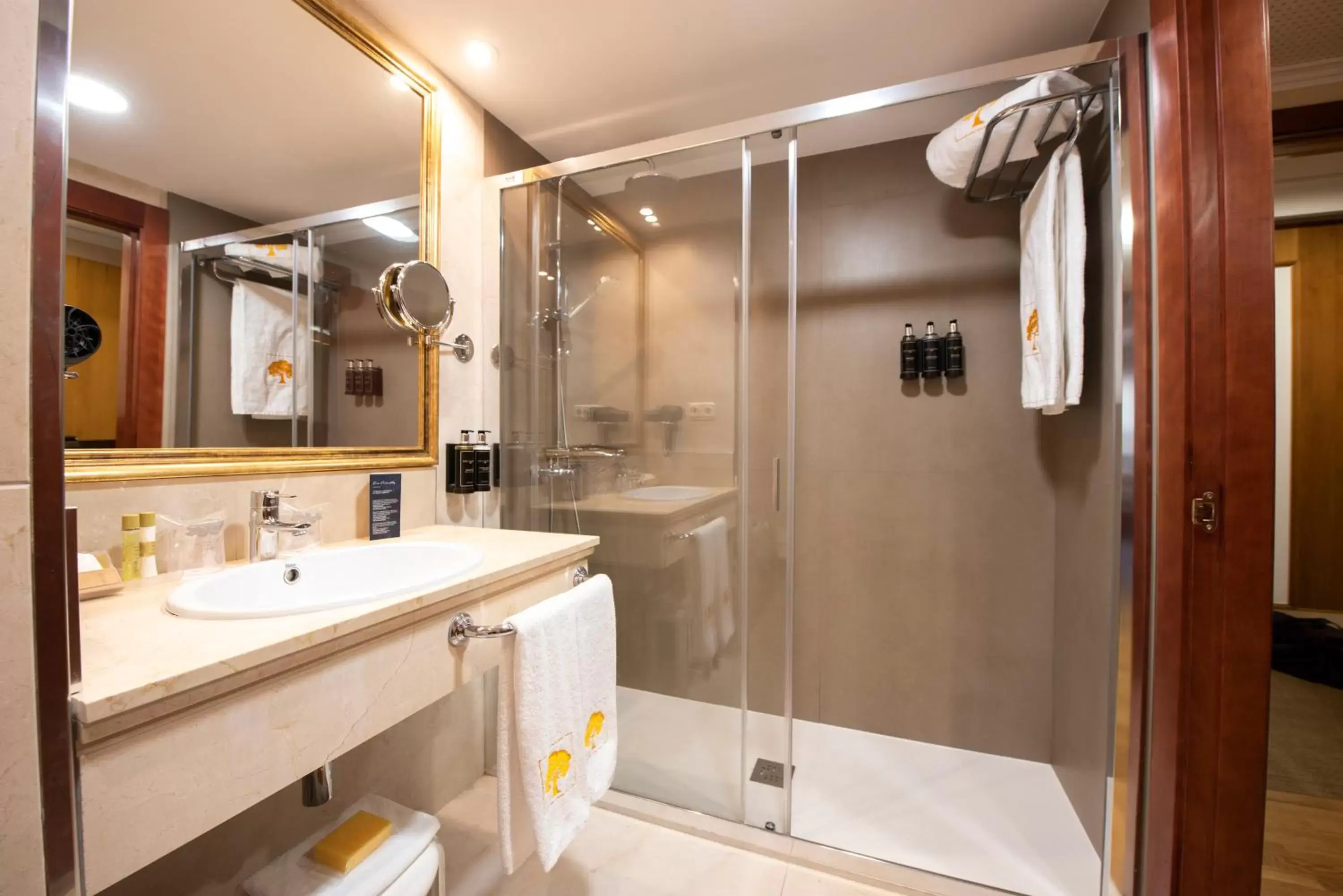 Shower, Bathroom in Eurostars Araguaney