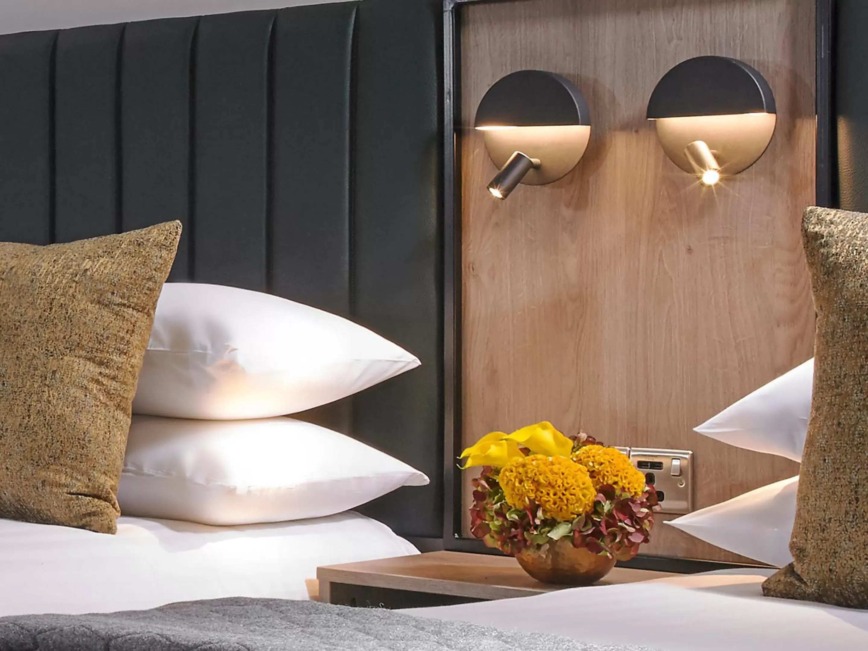 Executive Double Single Room - single occupancy in Shannon Springs Hotel Executive Double Single Room - single occupancy in Shannon Springs Hotel