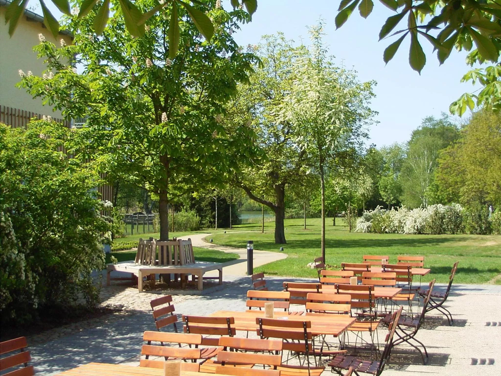 Patio in Zum Rittmeister