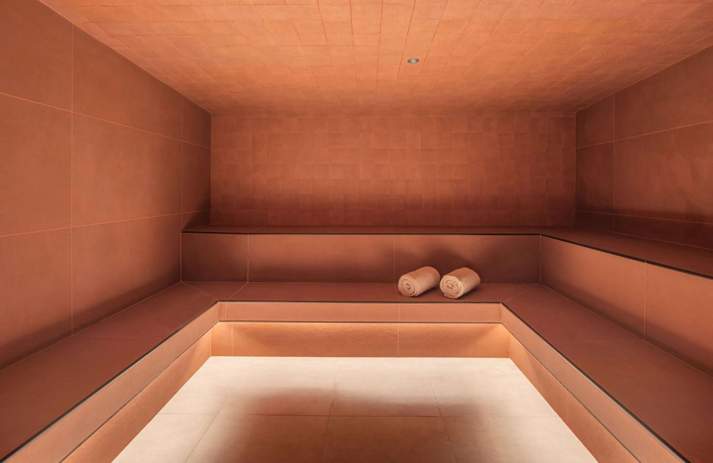 Steam room in Canopy by Hilton Cannes