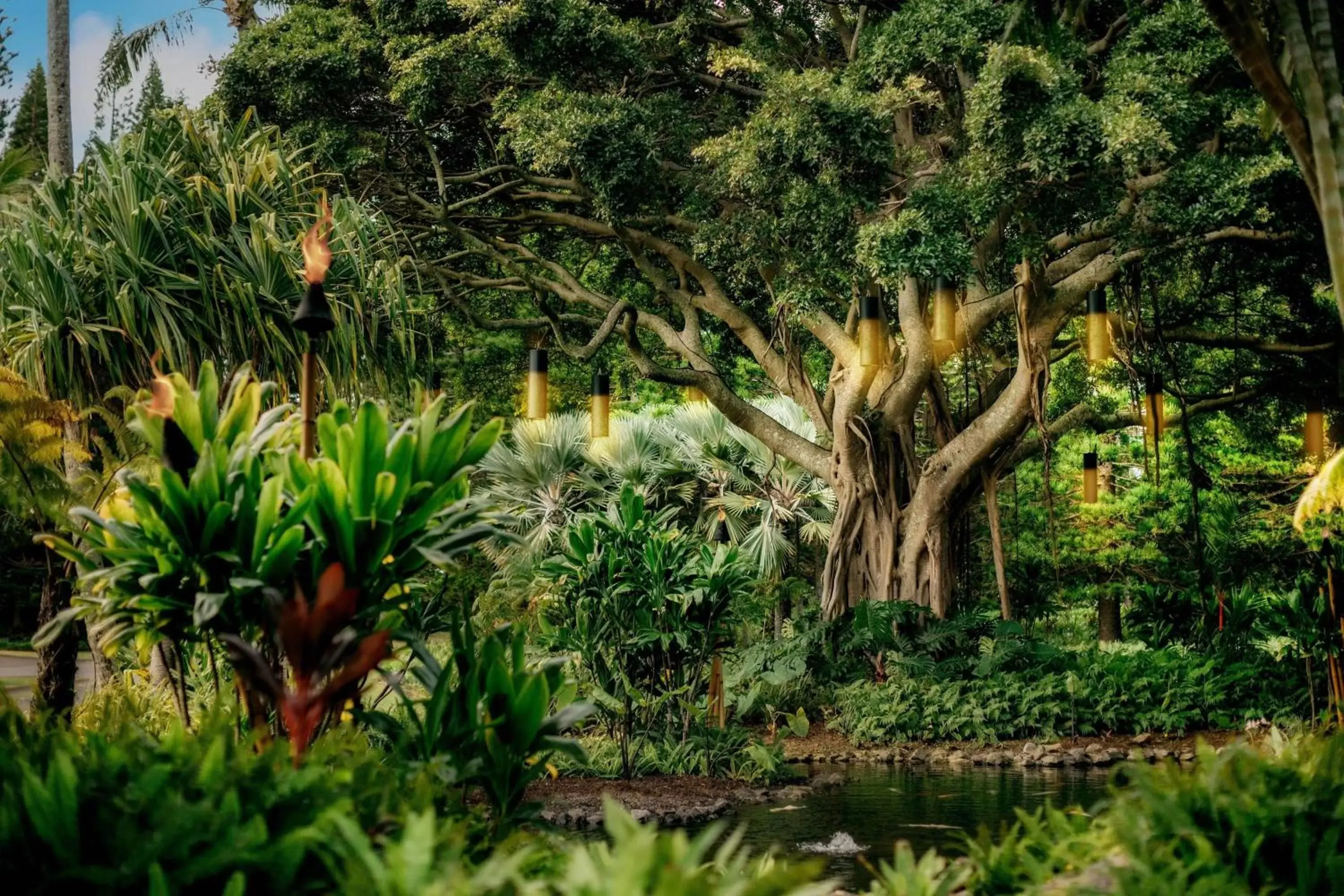 Other, Garden in The Ritz-Carlton Maui, Kapalua
