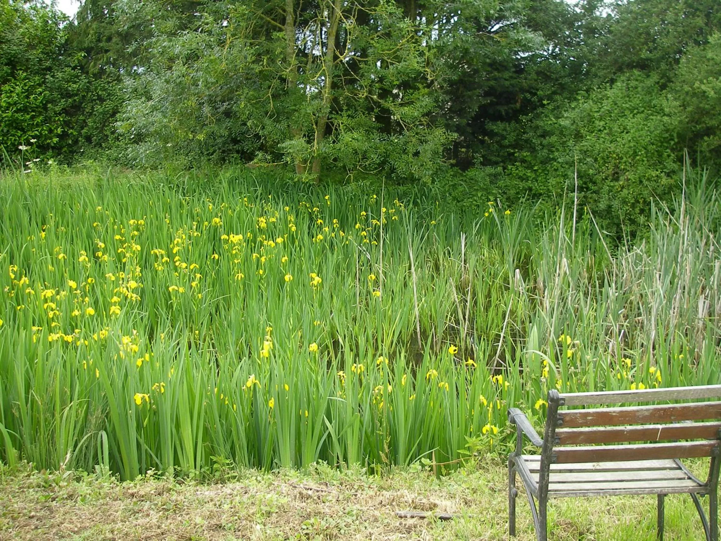 Garden in Grove Barn Bed and Breakfast