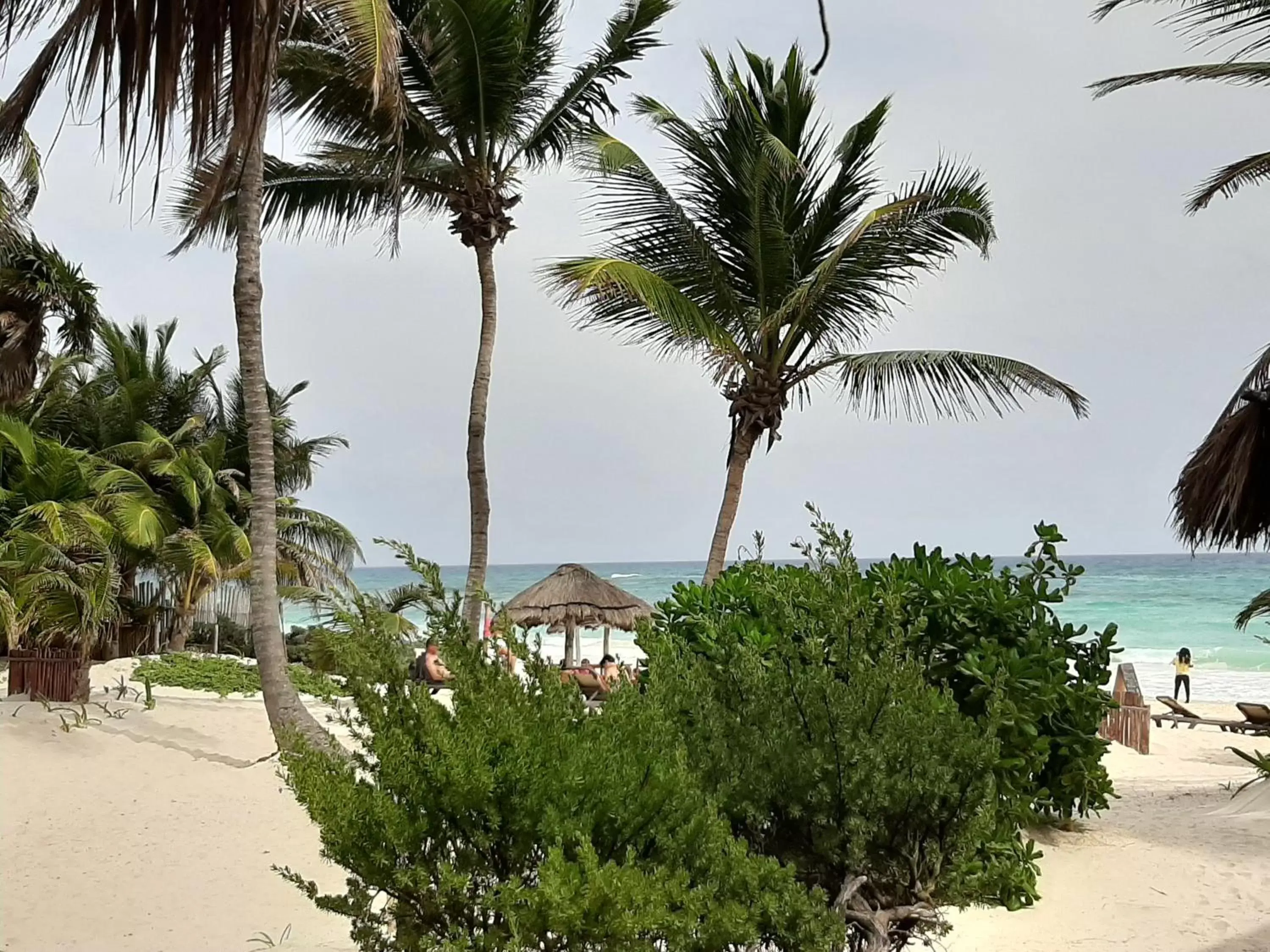 Beach in BT Live Tulum located at the party zone