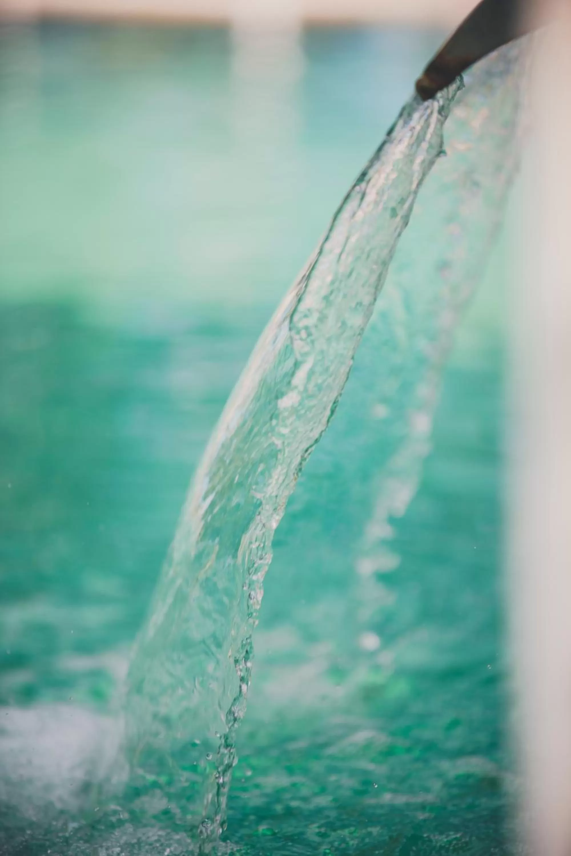 Other in Central Park Terme