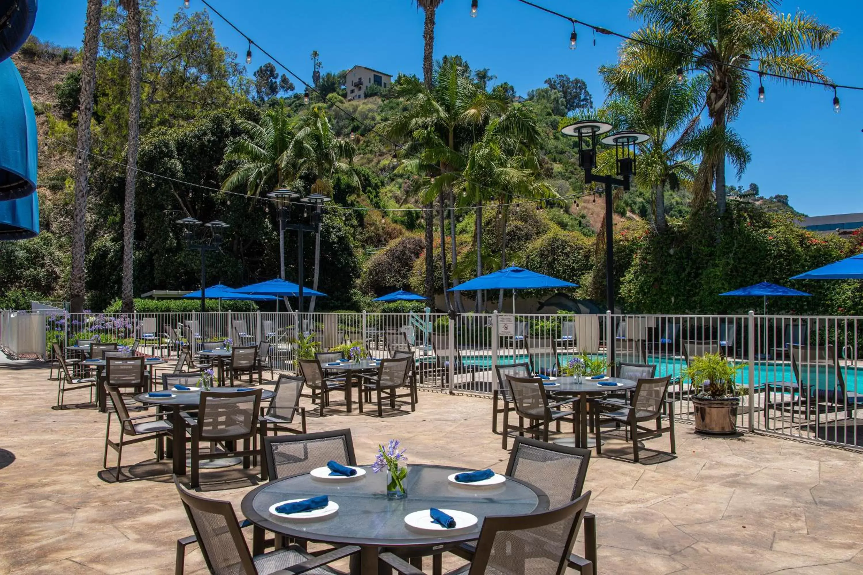 Swimming pool, Restaurant/Places to Eat in Sheraton Mission Valley San Diego Hotel