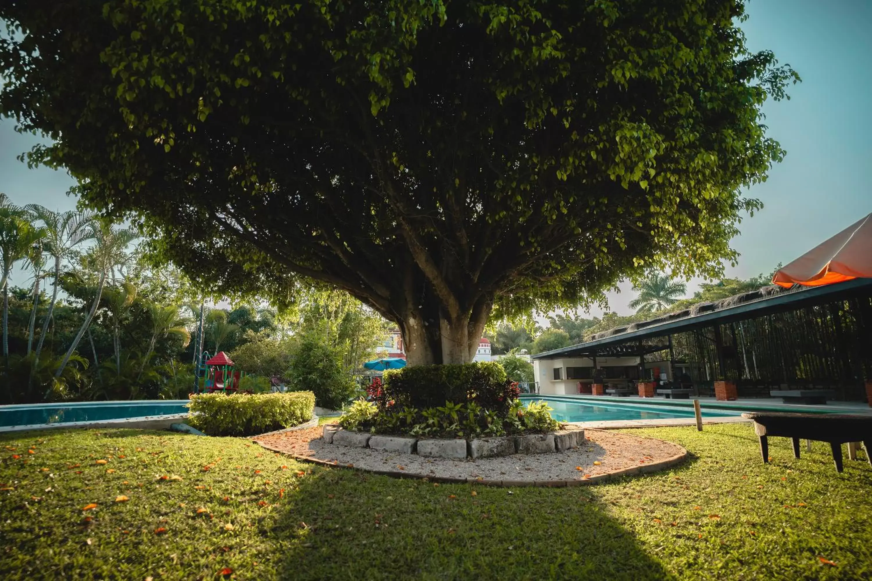 Garden in Hotel Quinta Moctezuma