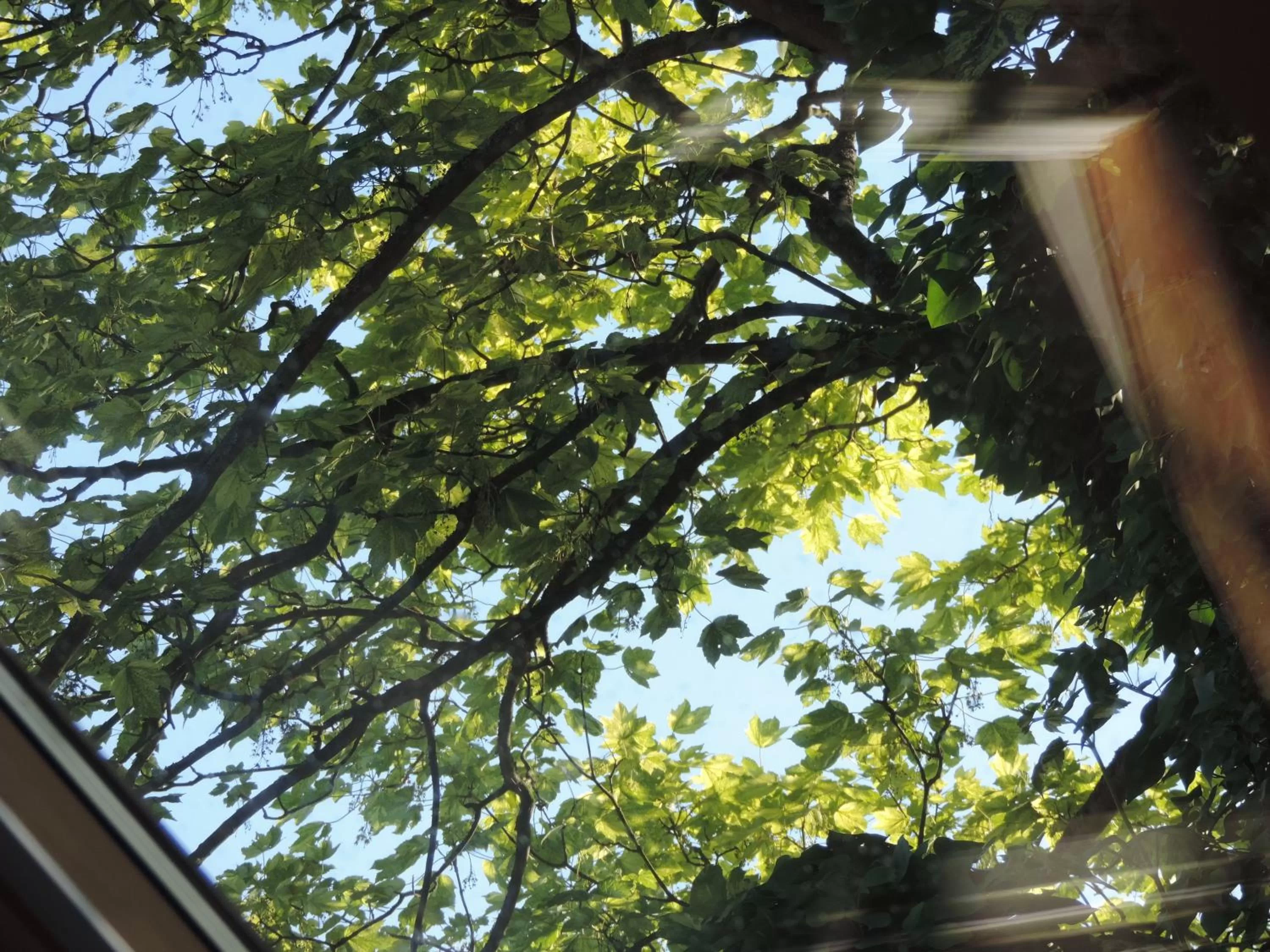 Garden view in B&B Le Valangré