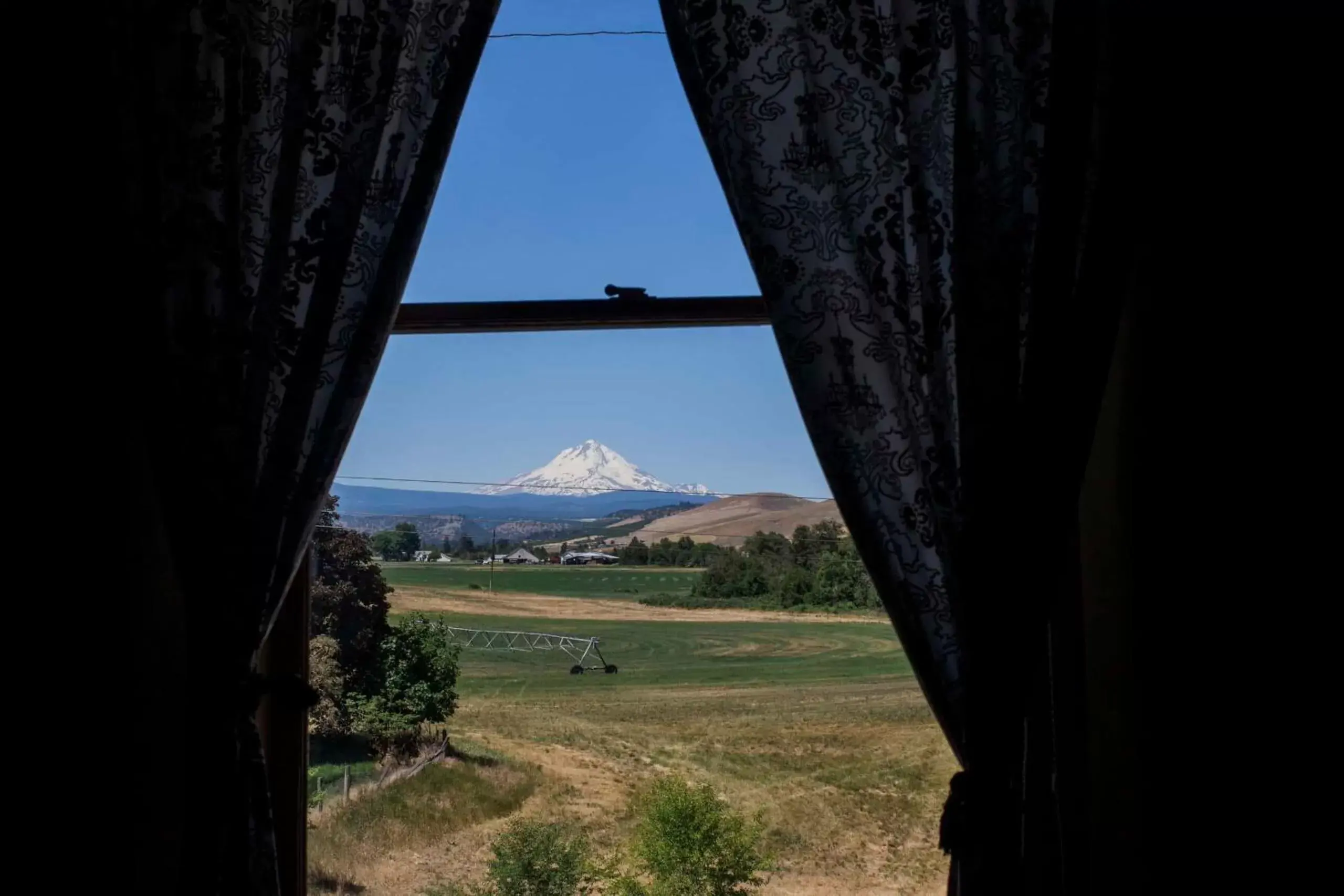 View (from property/room) in Balch Hotel