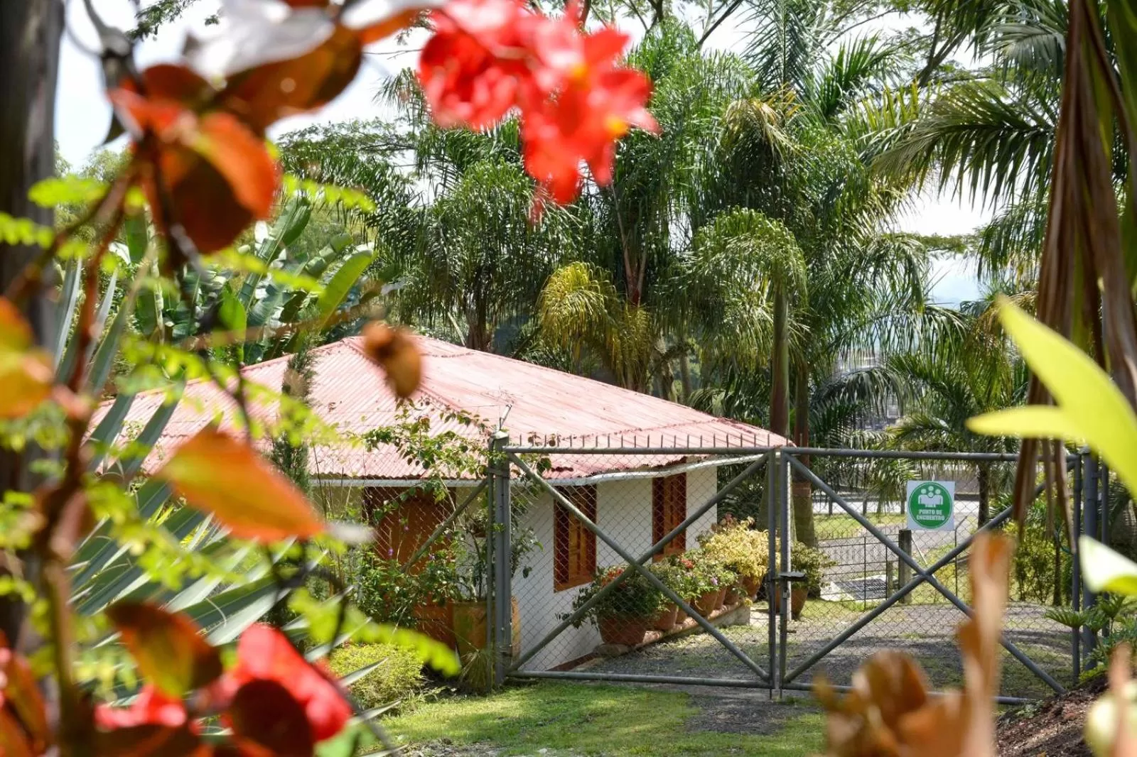 Property building, Garden in Cabañas Las Bifloras