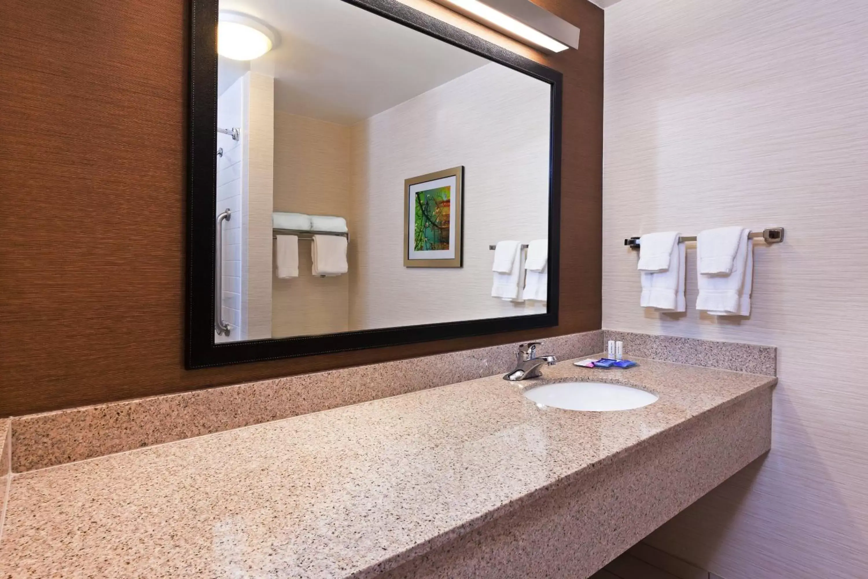 Bathroom in Fairfield Inn & Suites by Marriott Rogers