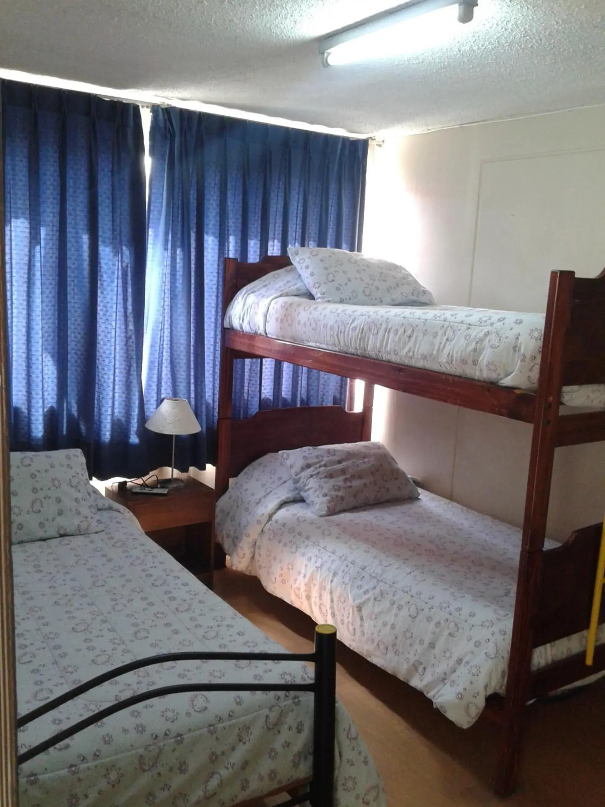 Bunk Bed in Hostal Americano