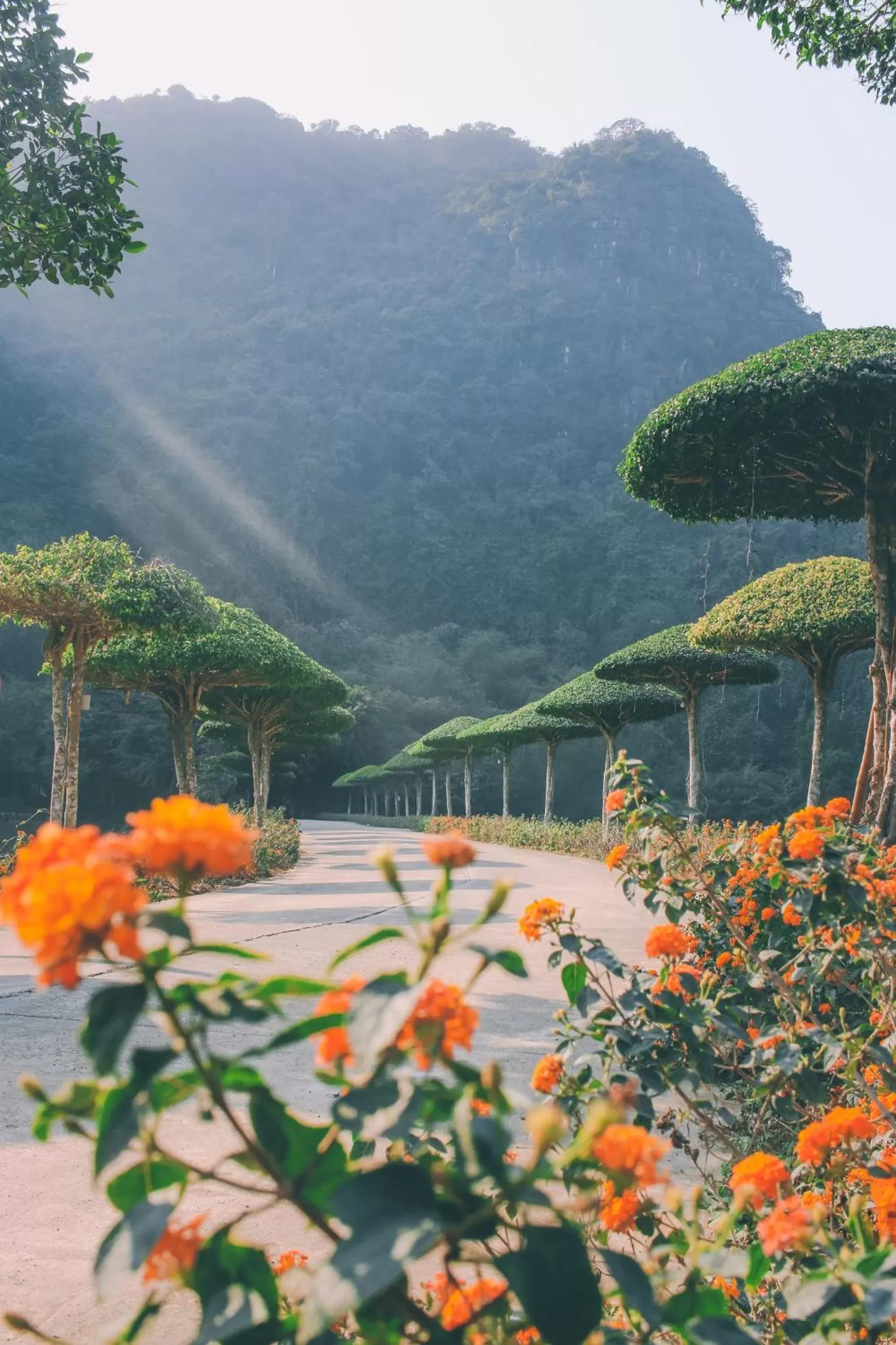 Natural landscape in Thung Nham Resort