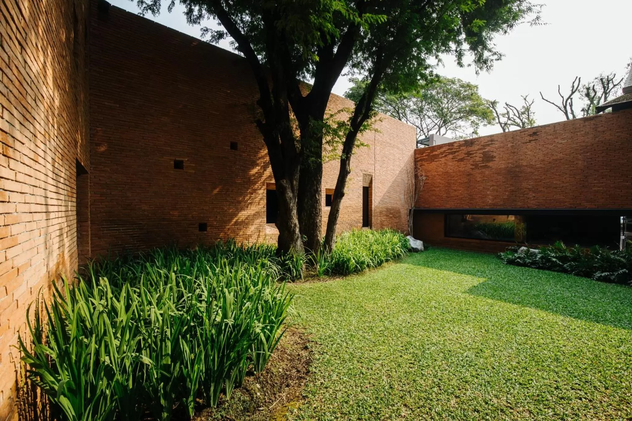 Natural landscape in Cross Chiang Mai Riverside