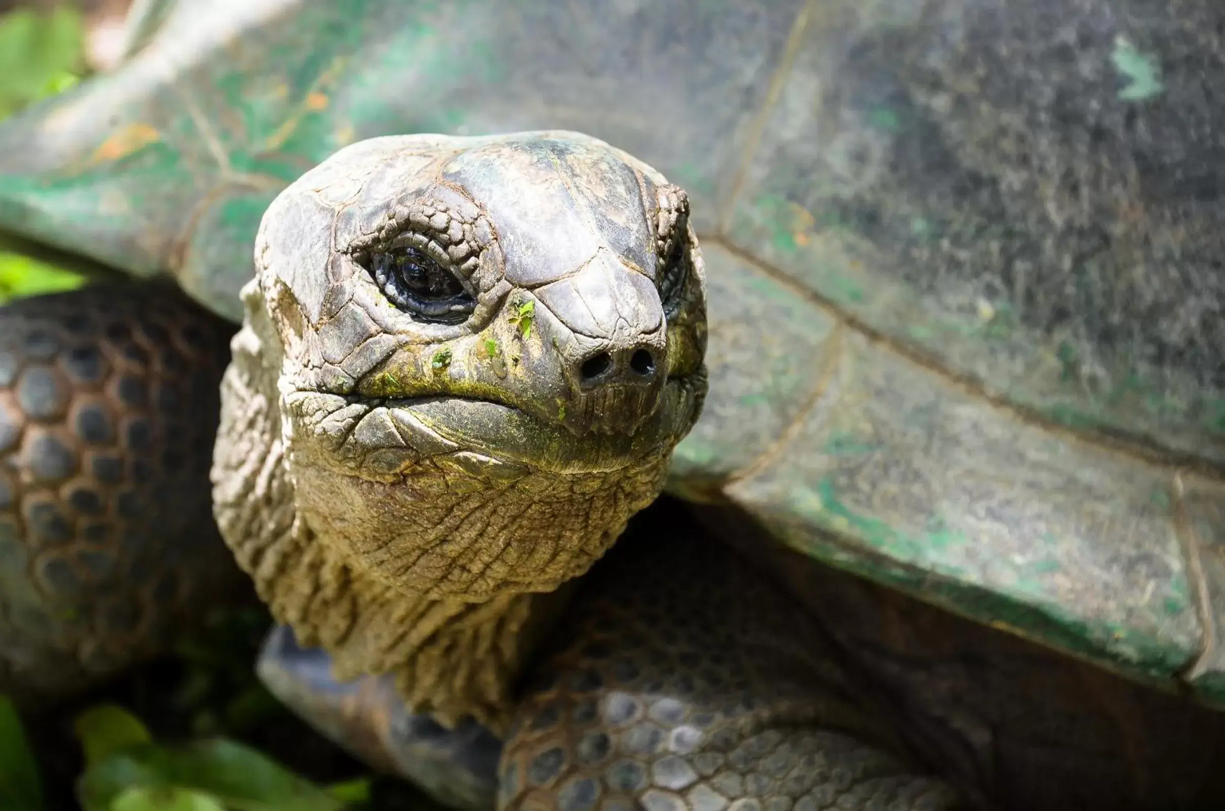Facade/entrance in Villa Chez Batista Facade/entrance in Villa Chez Batista