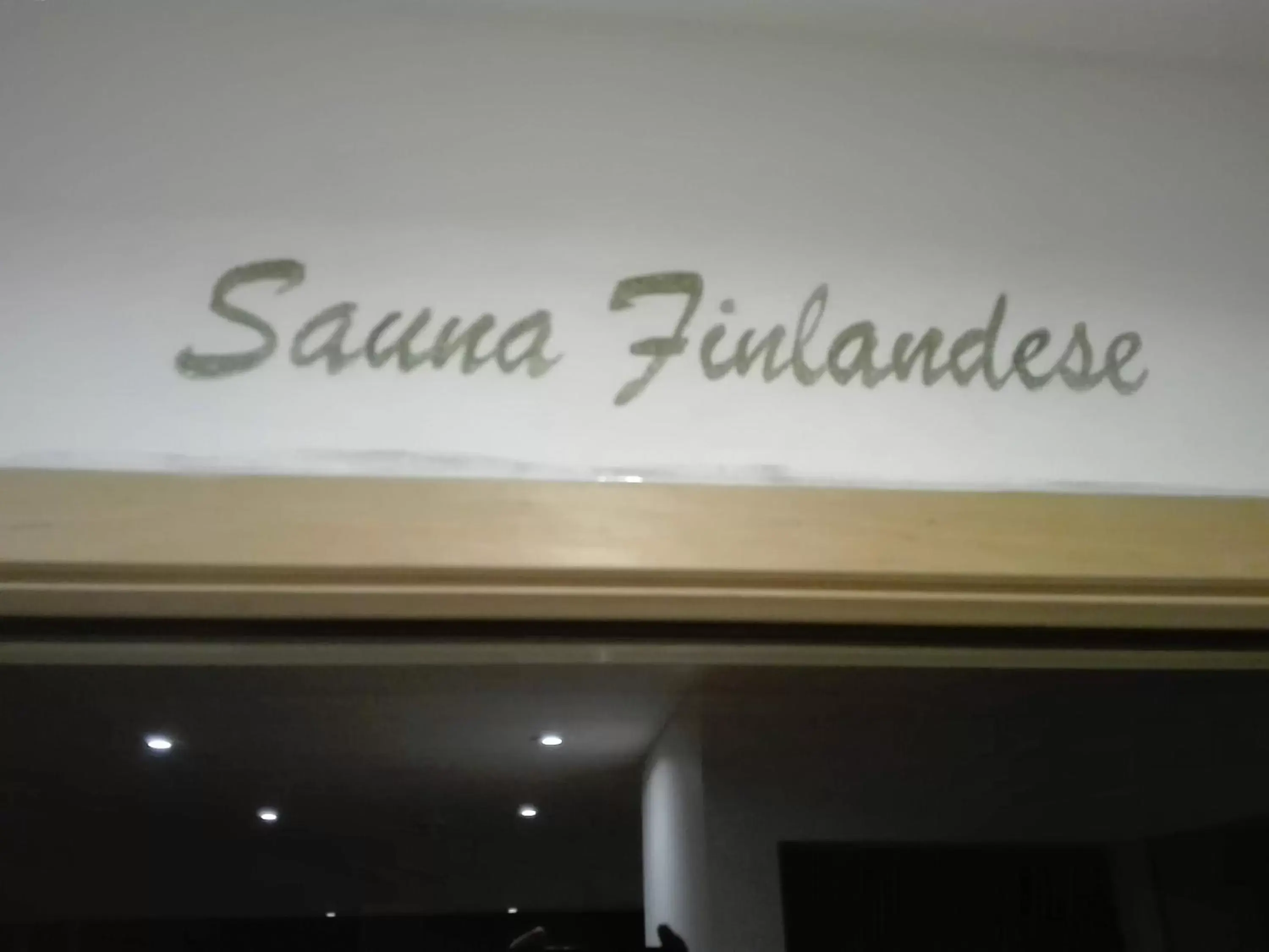 Sauna, Property Logo/Sign in Hotel Denny