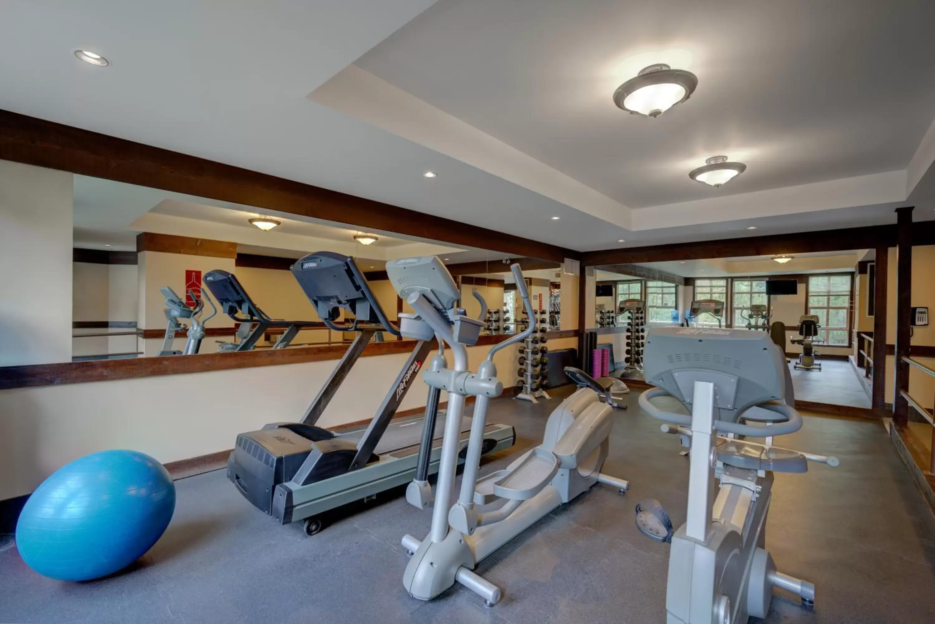 Fitness centre/facilities, Fitness Center/Facilities in Blackcomb Springs Suites by CLIQUE