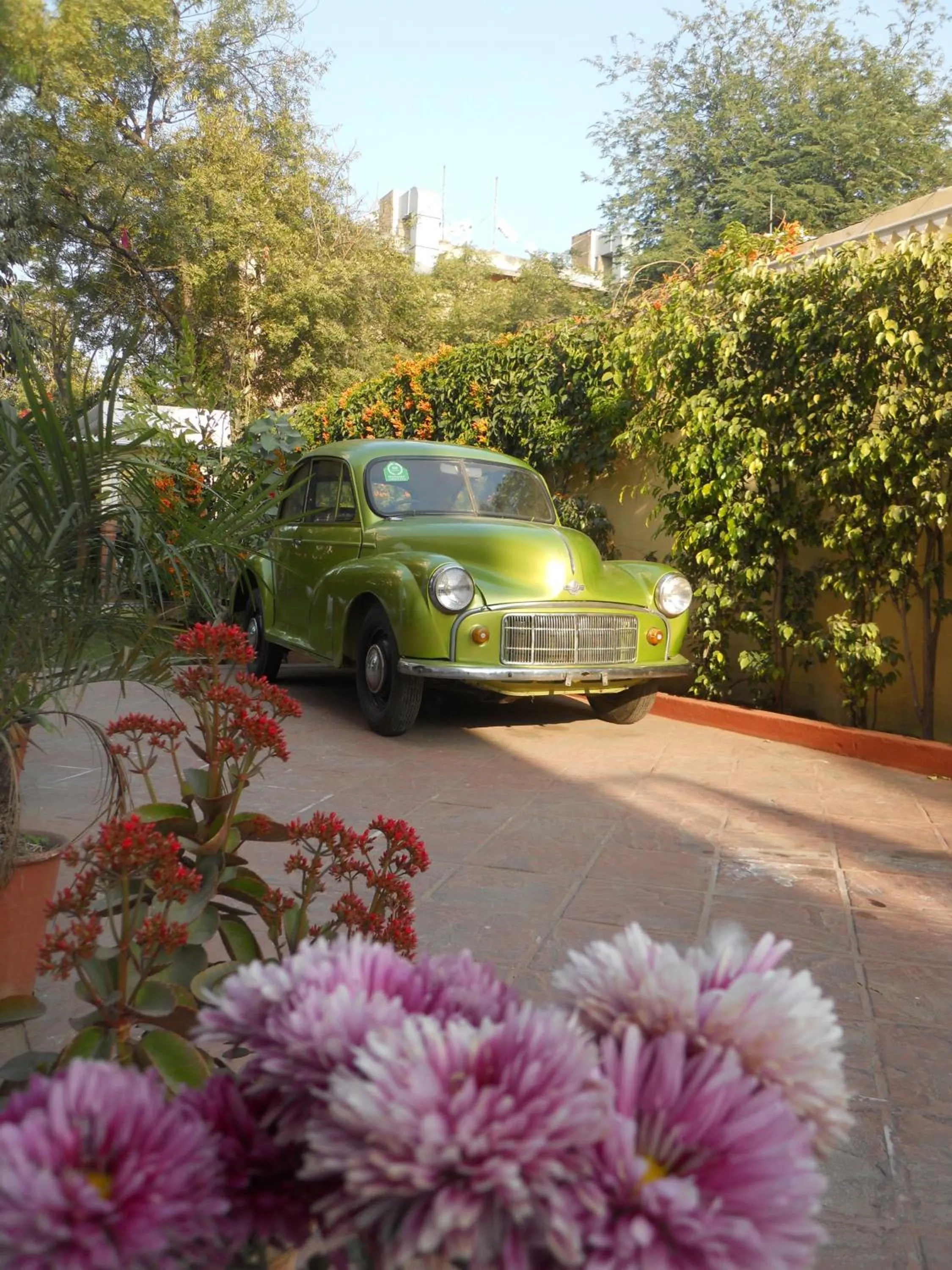 Garden in Anuraag Villa