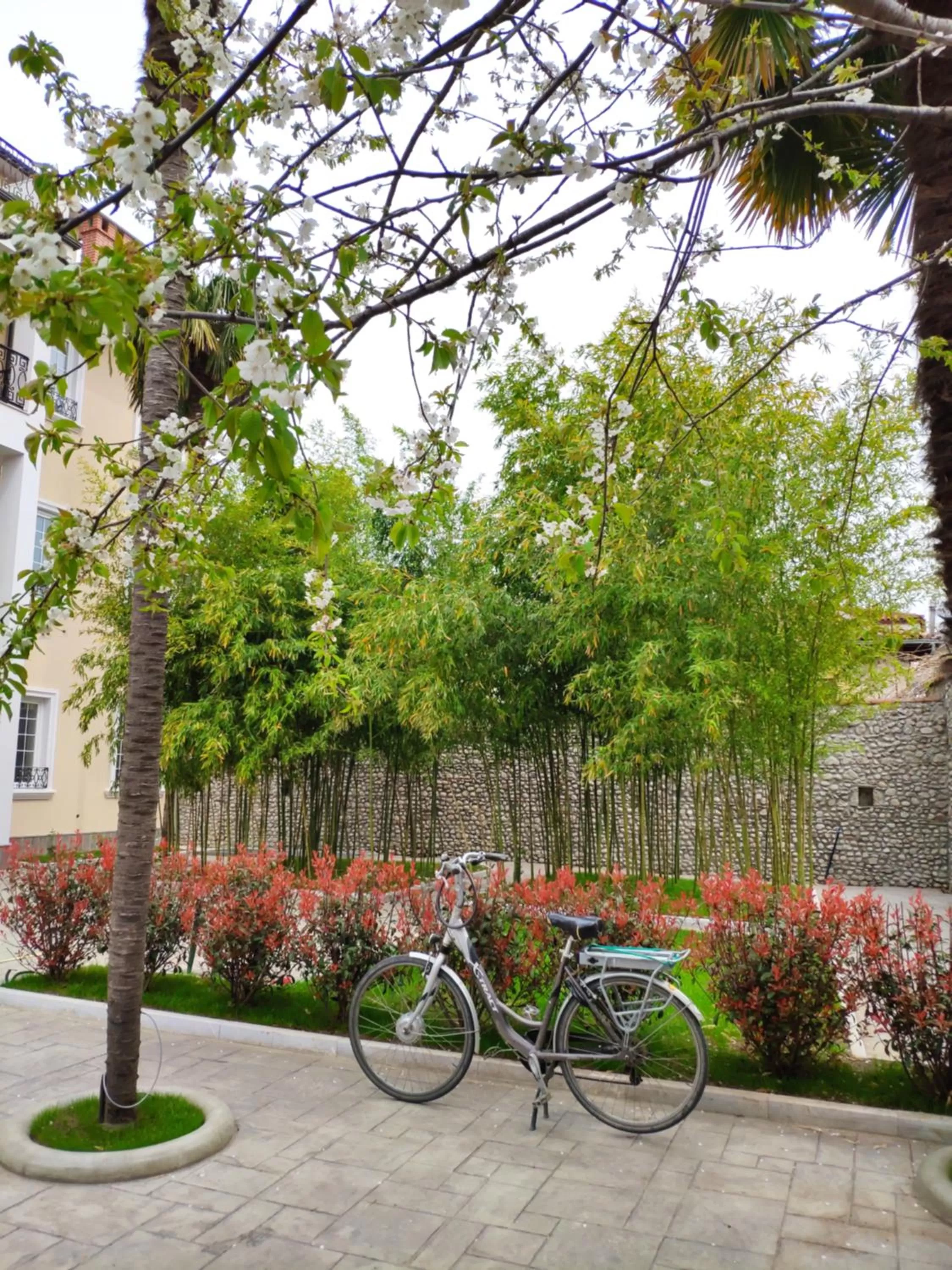 Garden in Hotel TREVA