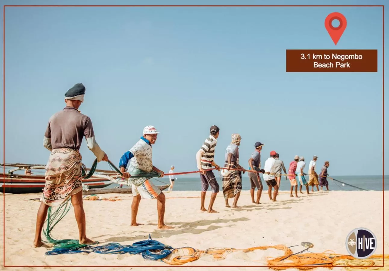 Nearby landmark in Hive 68 Hotel and Resorts - Negombo