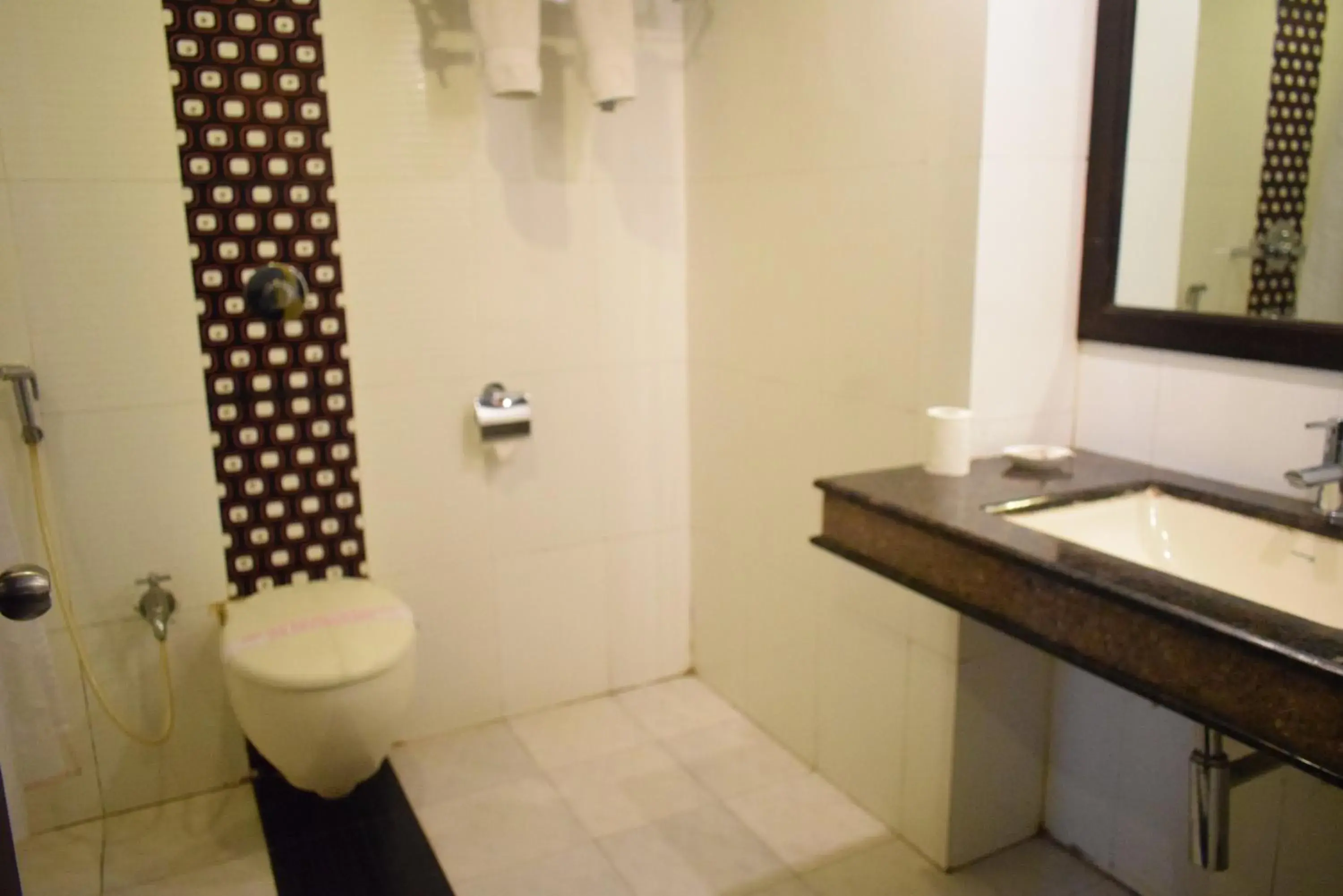 Toilet, Bathroom in Hotel Pushpak