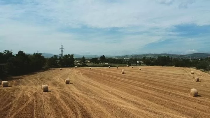 Sala dell Estate Guest House