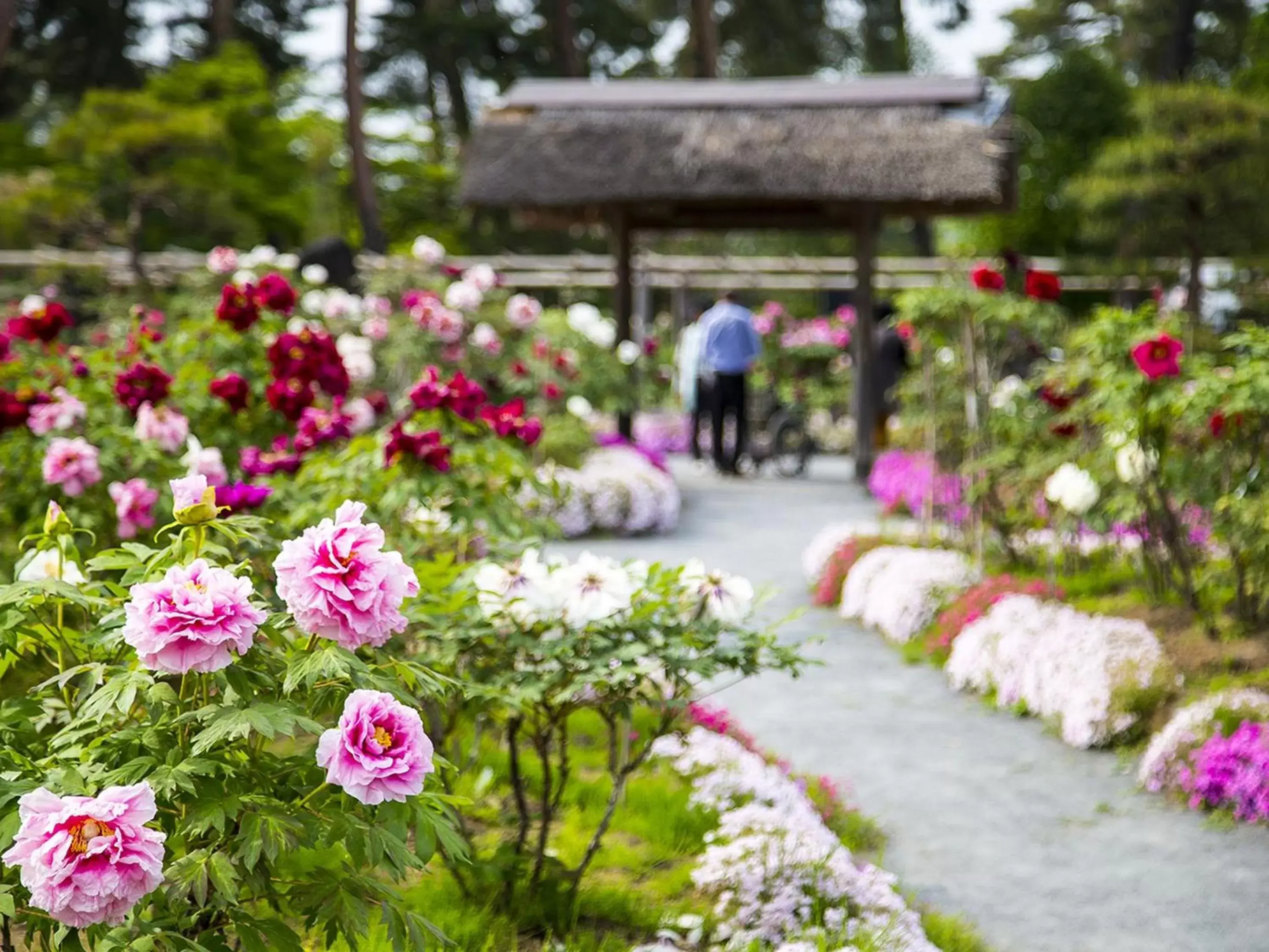 Activities in Hotel Wing International Sukagawa