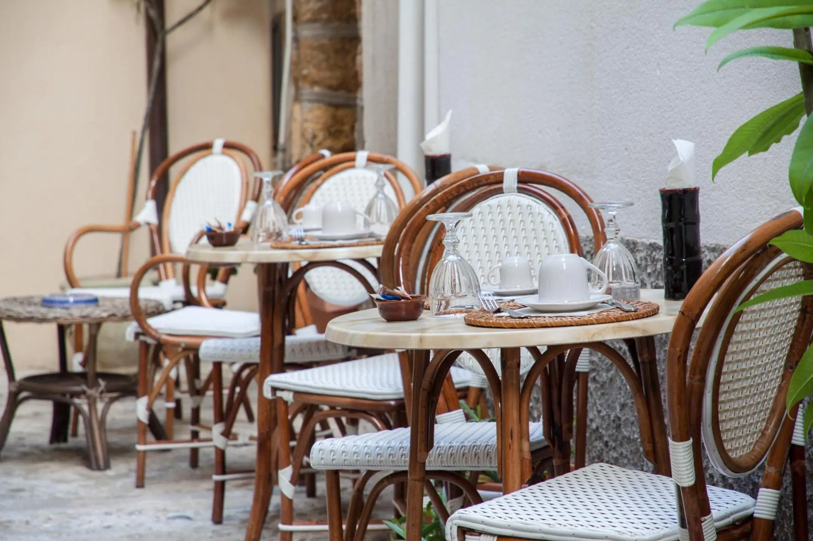 Garden, Restaurant/Places to Eat in Hotel La Plumeria