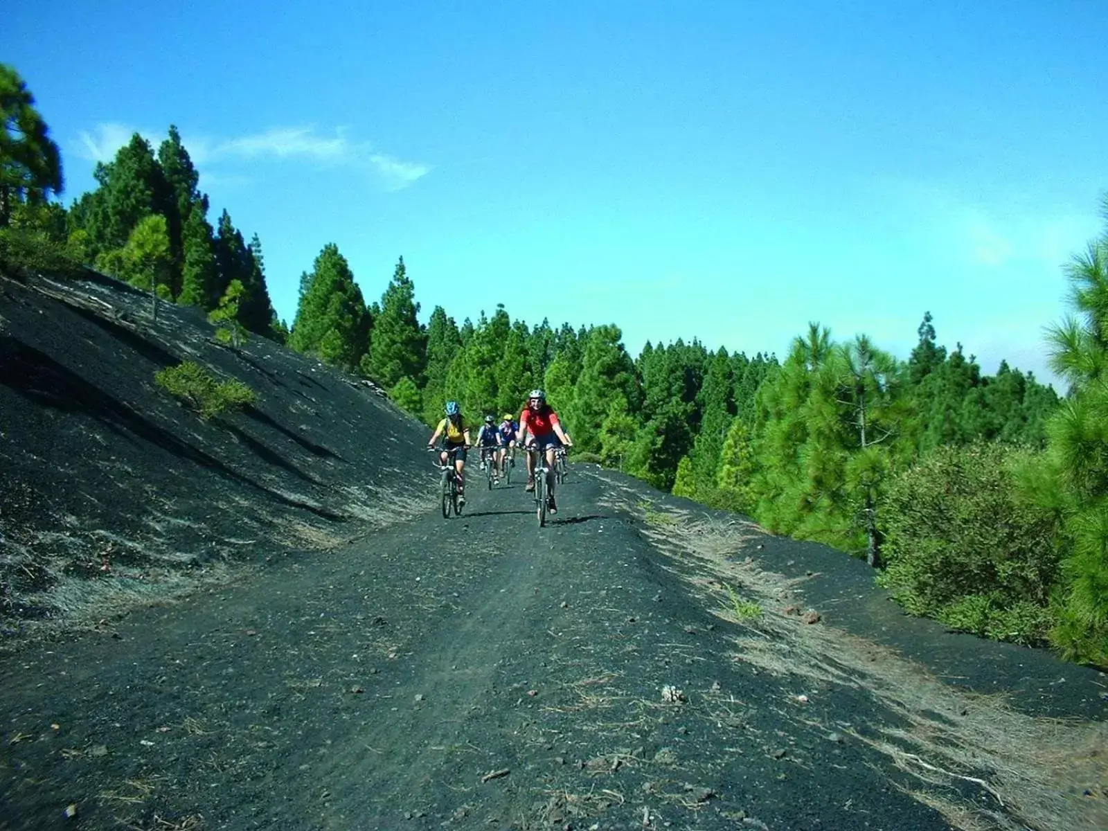 Natural landscape in Precise Resort Tenerife