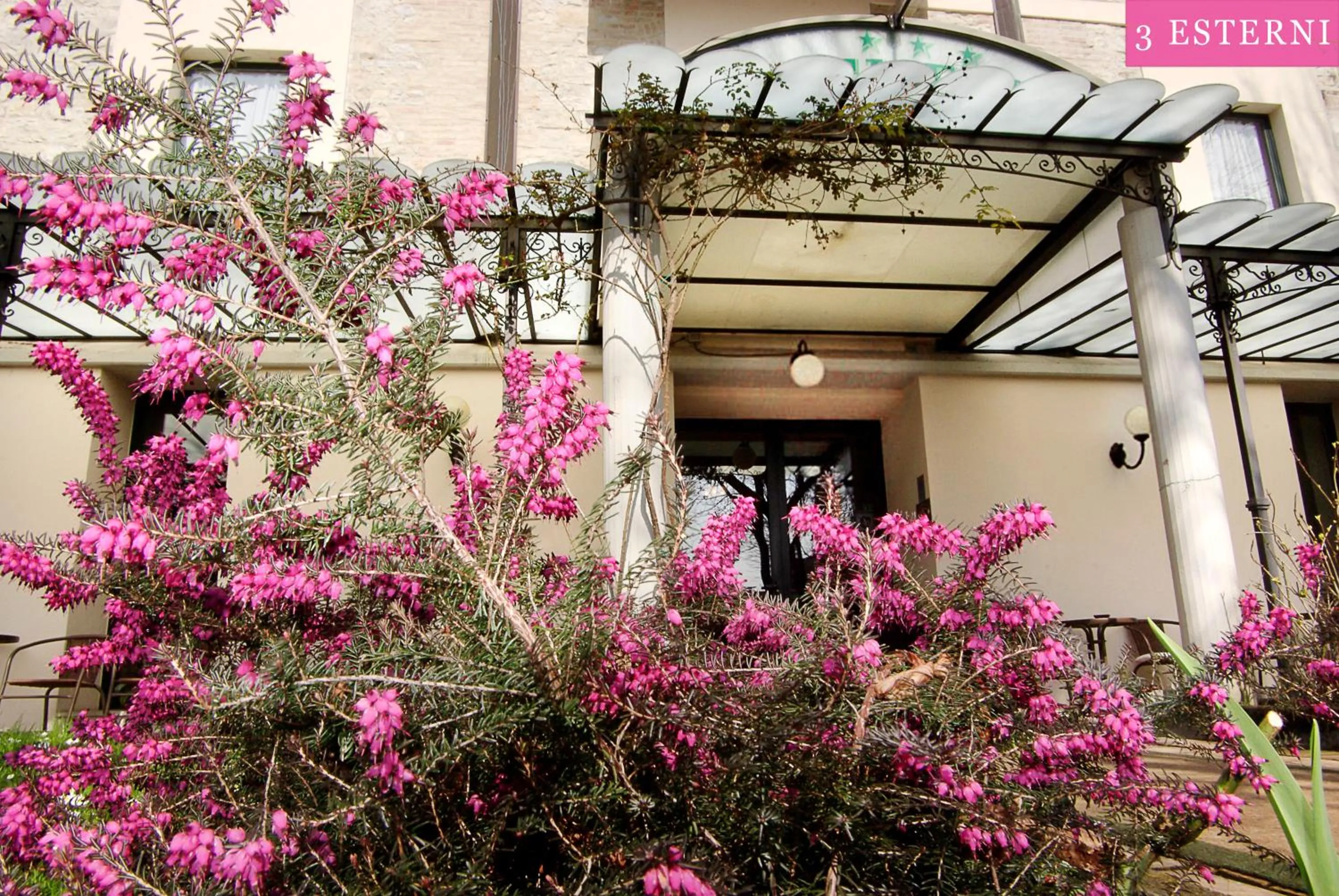 Facade/entrance in Hotel Elite