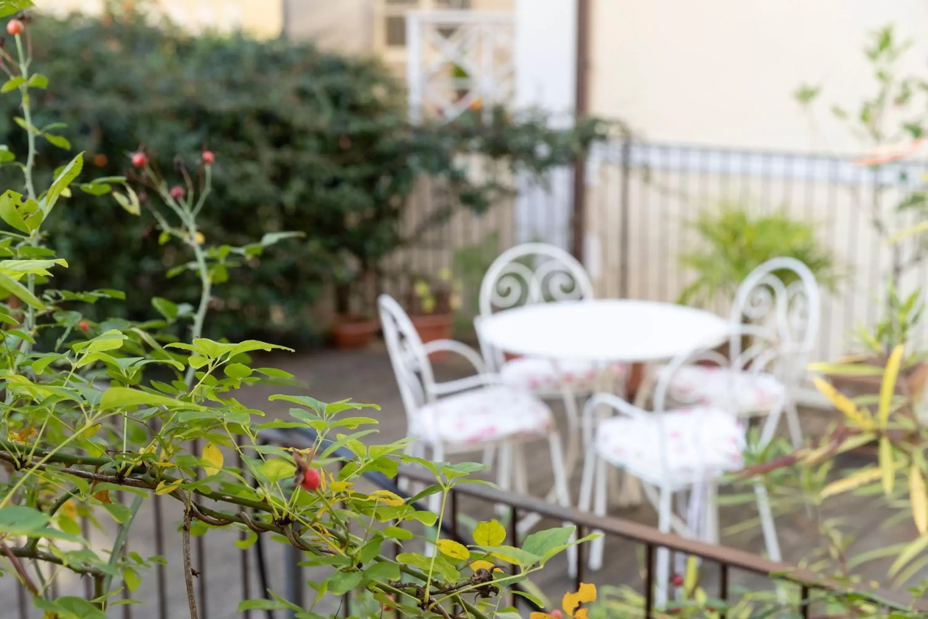 Balcony/Terrace in Villa Bergmann Suites Meran