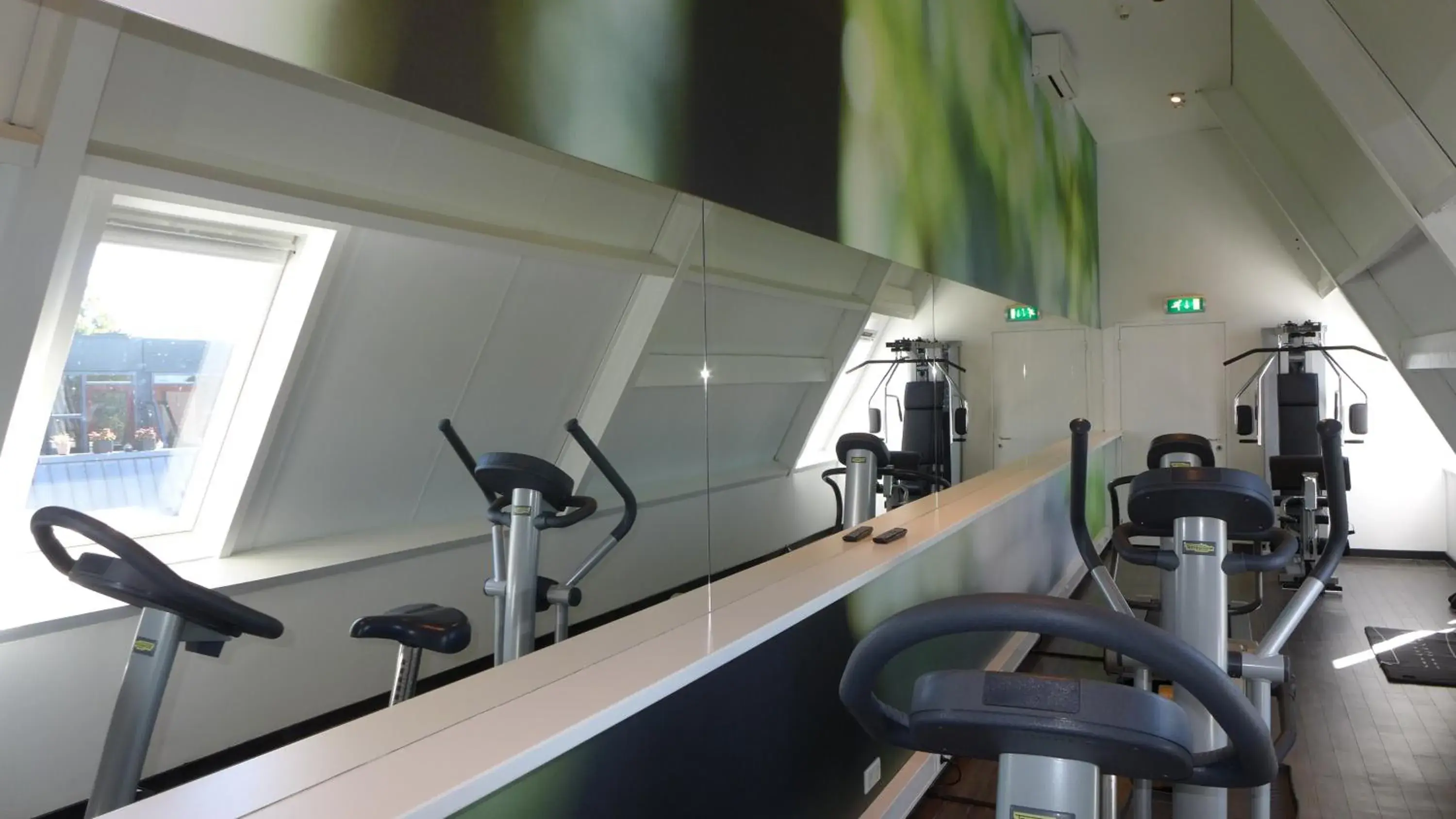 Fitness centre/facilities, Fitness Center/Facilities in Hotel Theater Figi