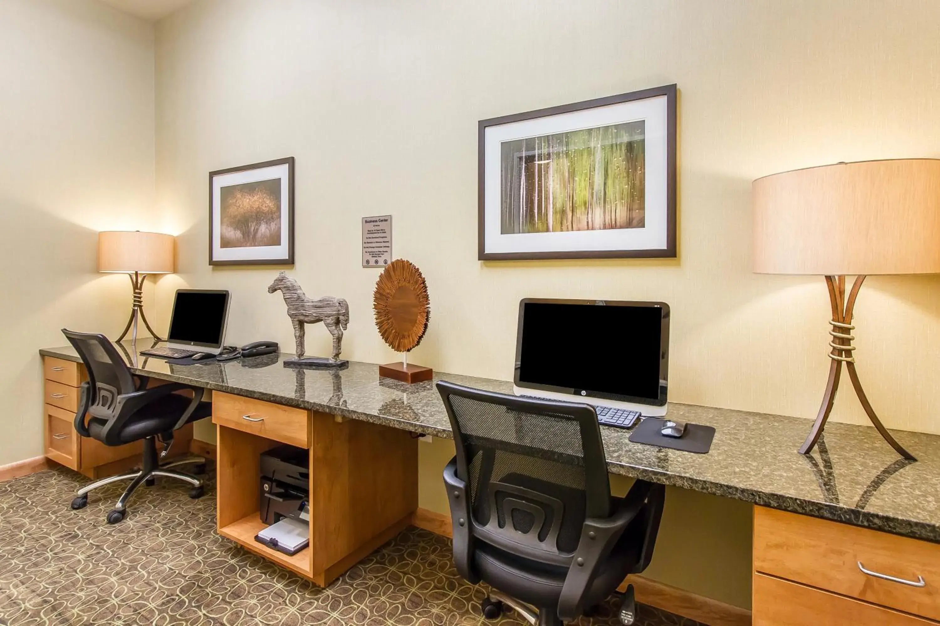 Business facilities in MainStay Suites Stanley