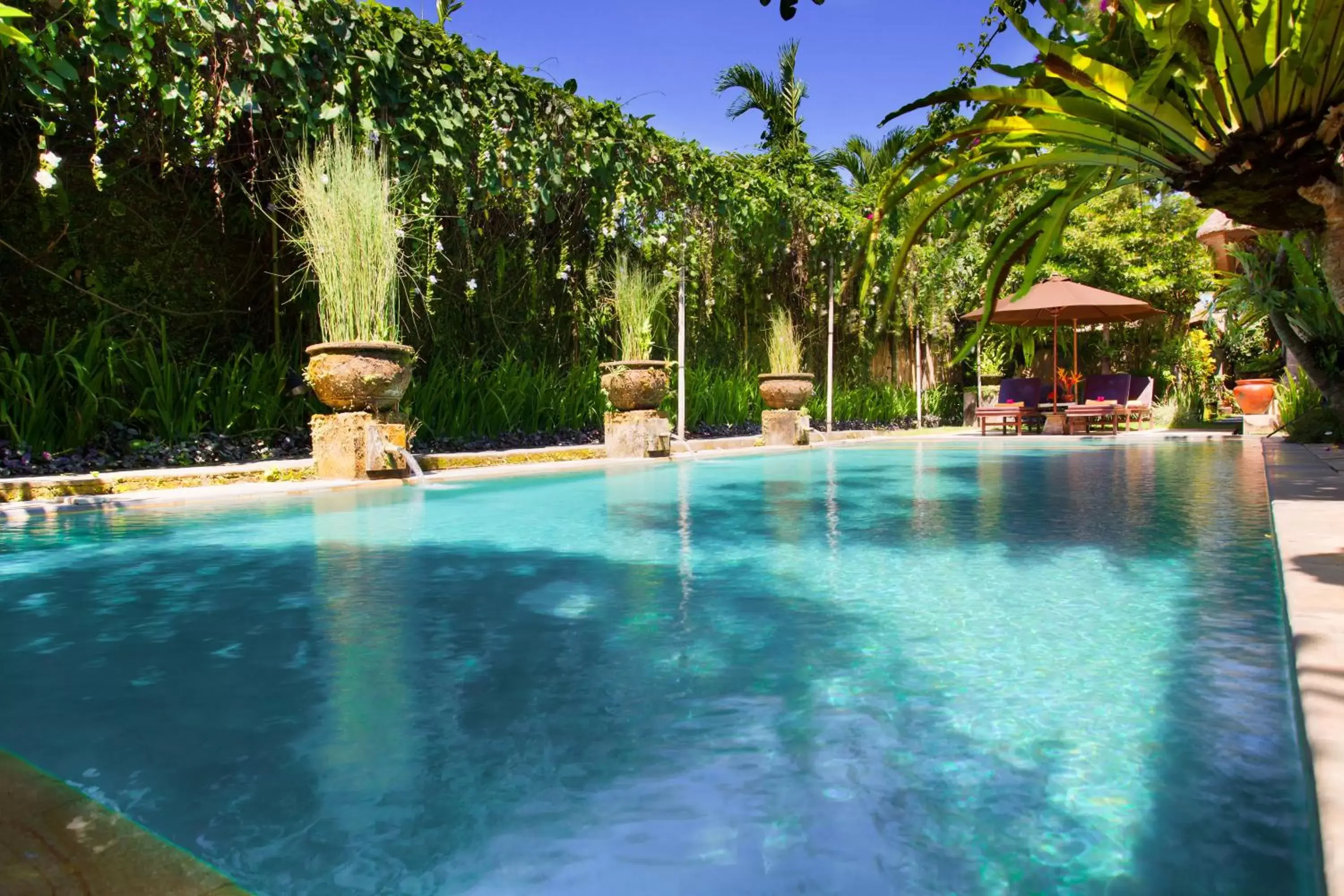 Spring, Swimming Pool in Barong Resort and Spa