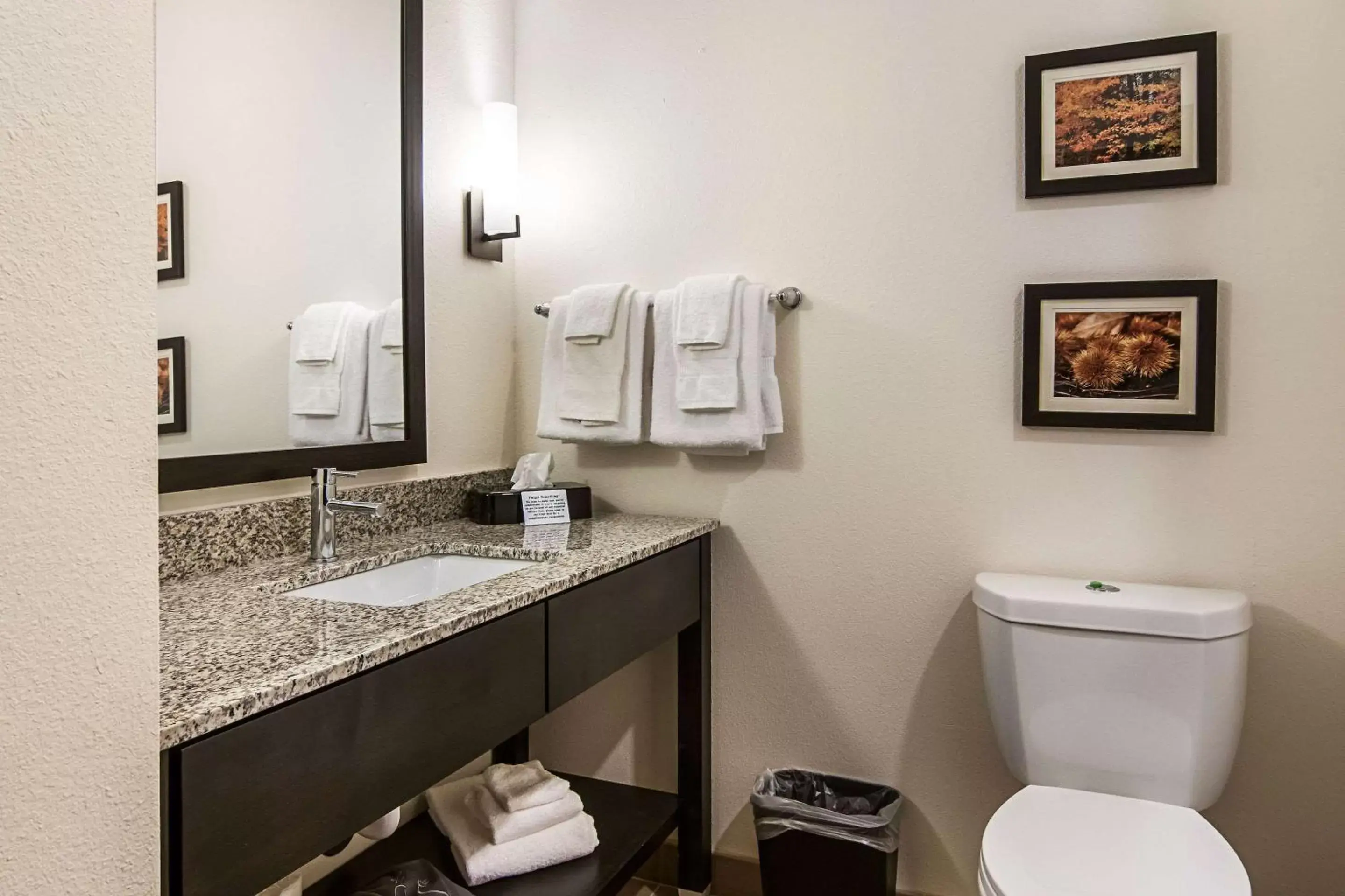 Photo of the whole room, Bathroom in Comfort Suites