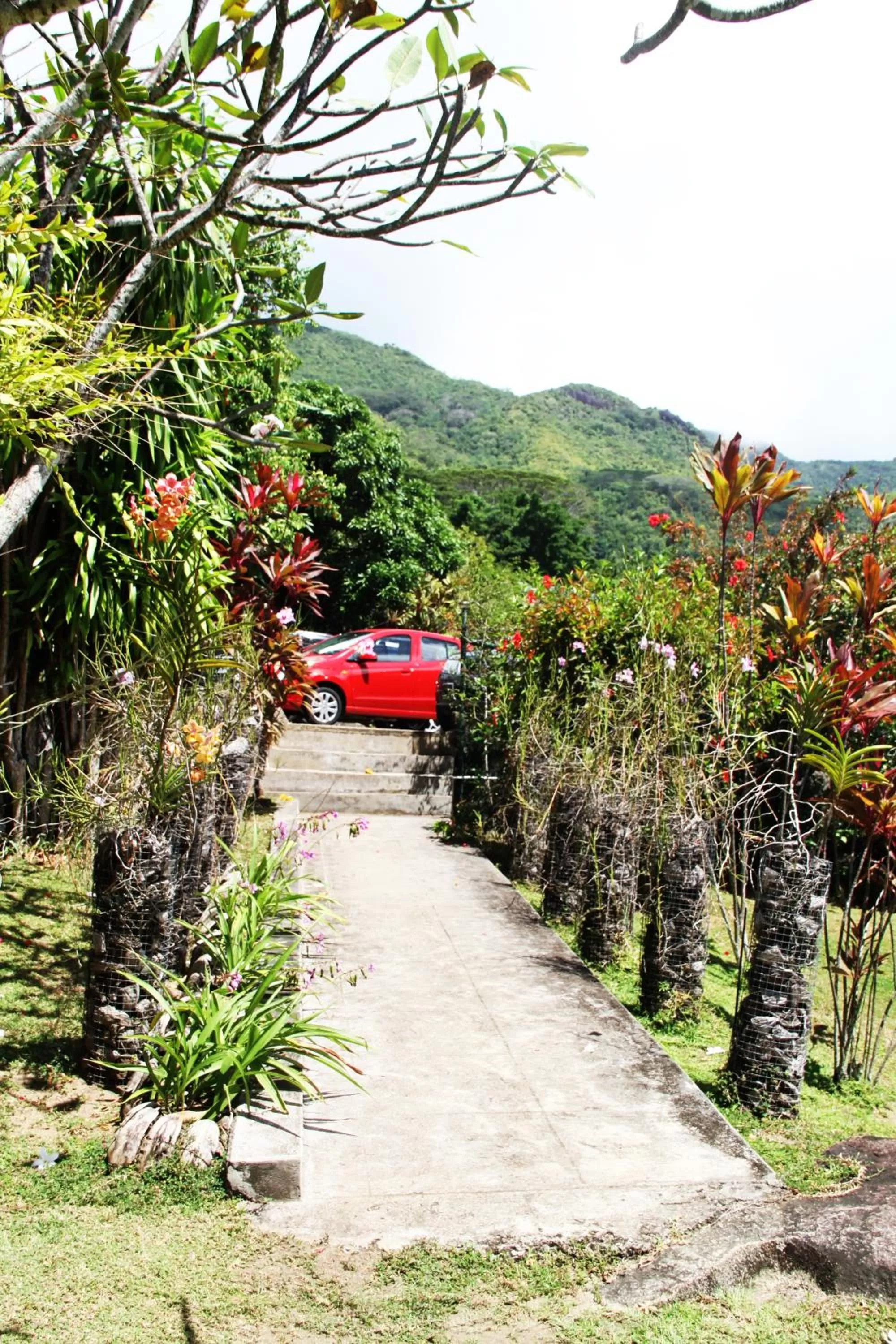 Garden in Daniella's Bungalows
