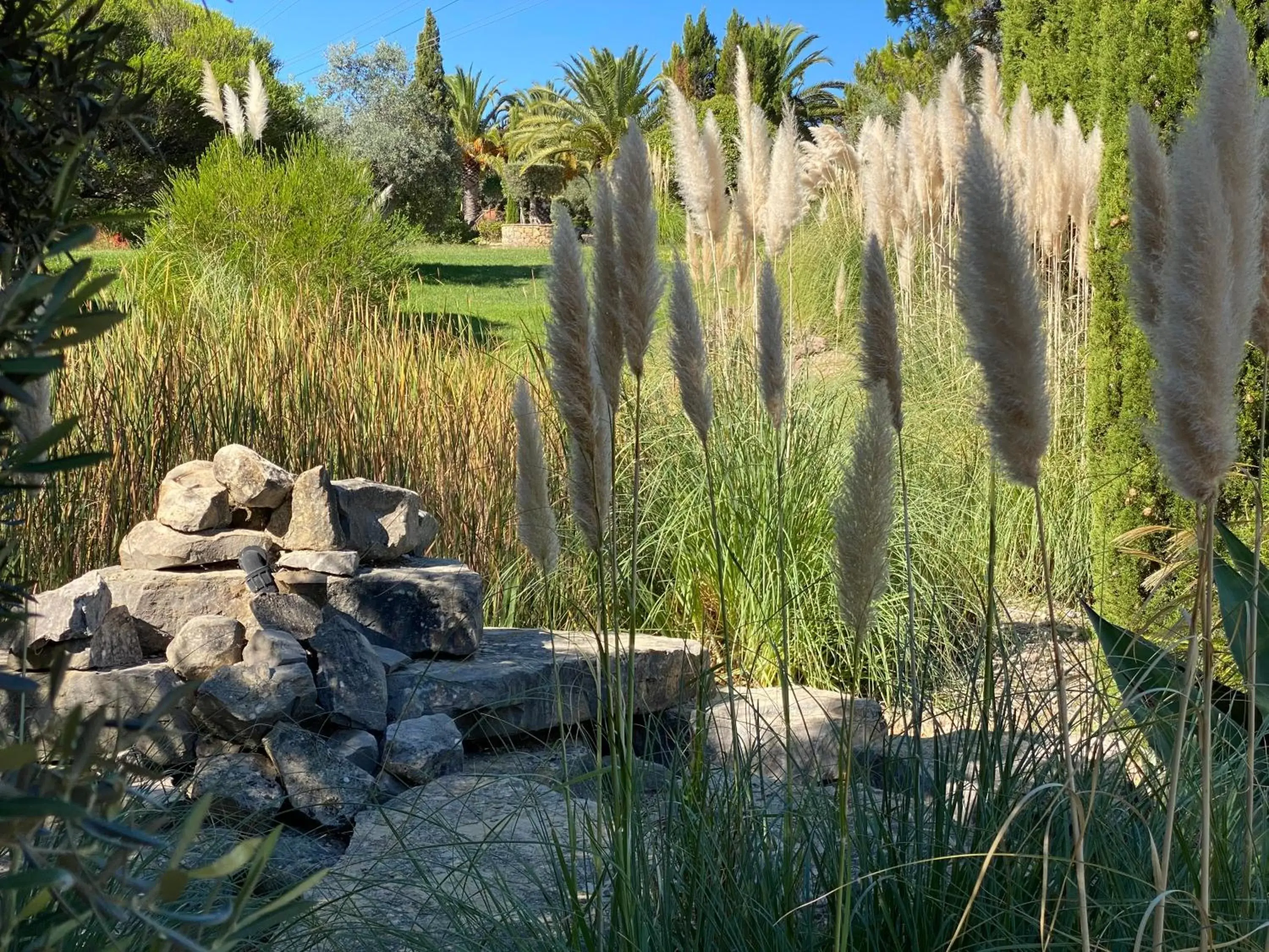 Garden in Adamah Vayu -Casa Serenida