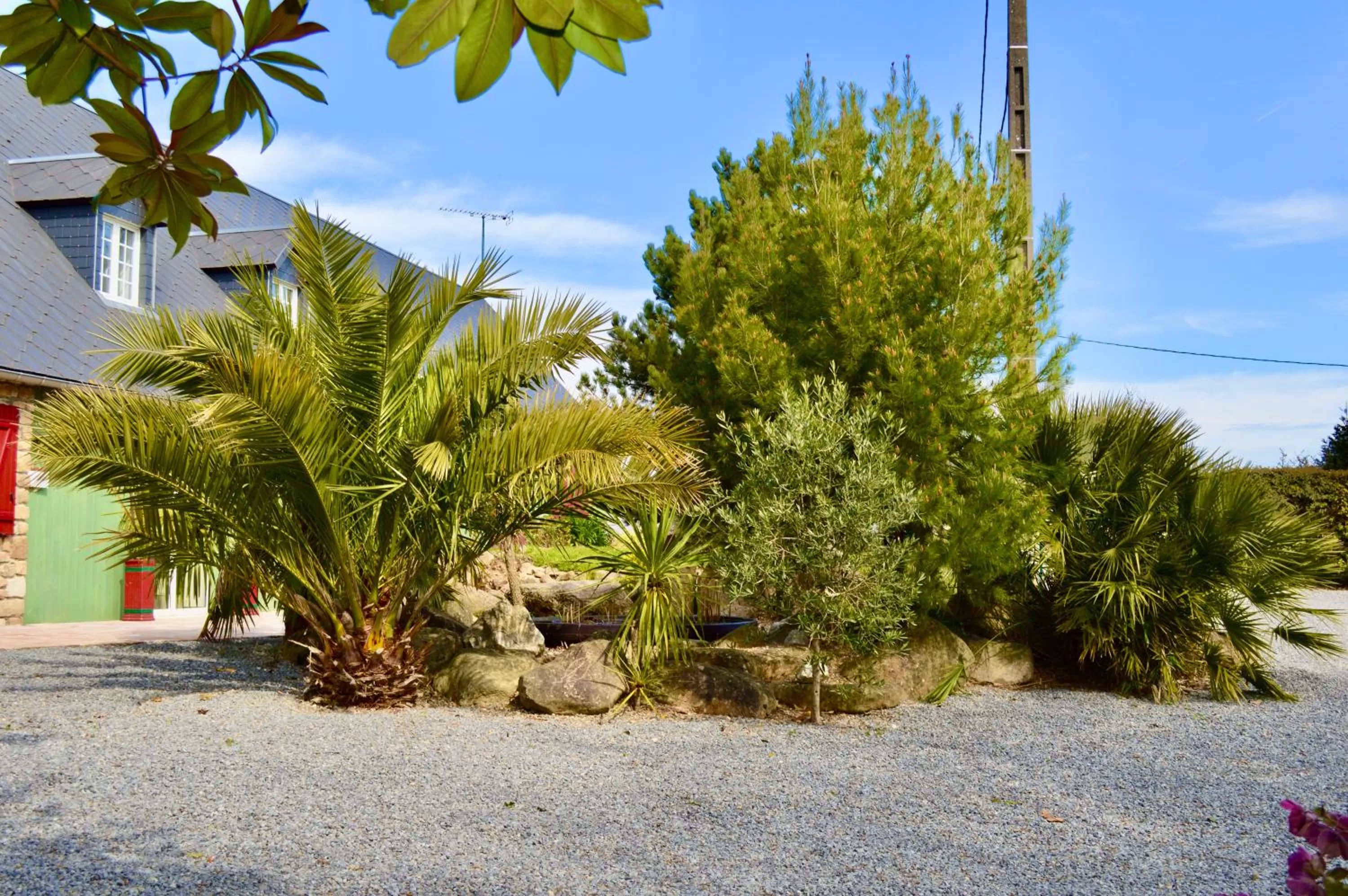 Natural landscape in La Pichonnière