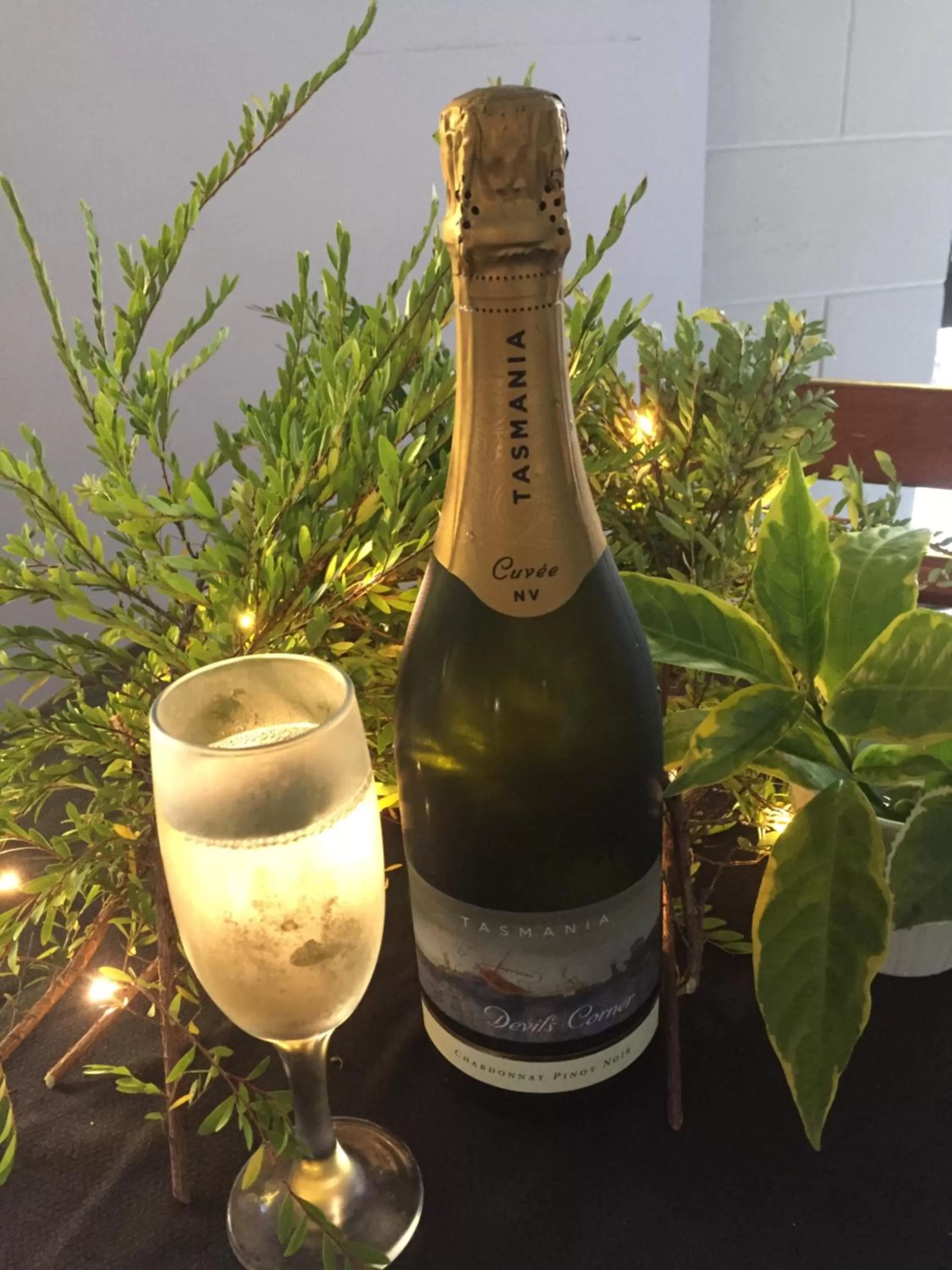 Decorative detail in Cardwell at the Beach