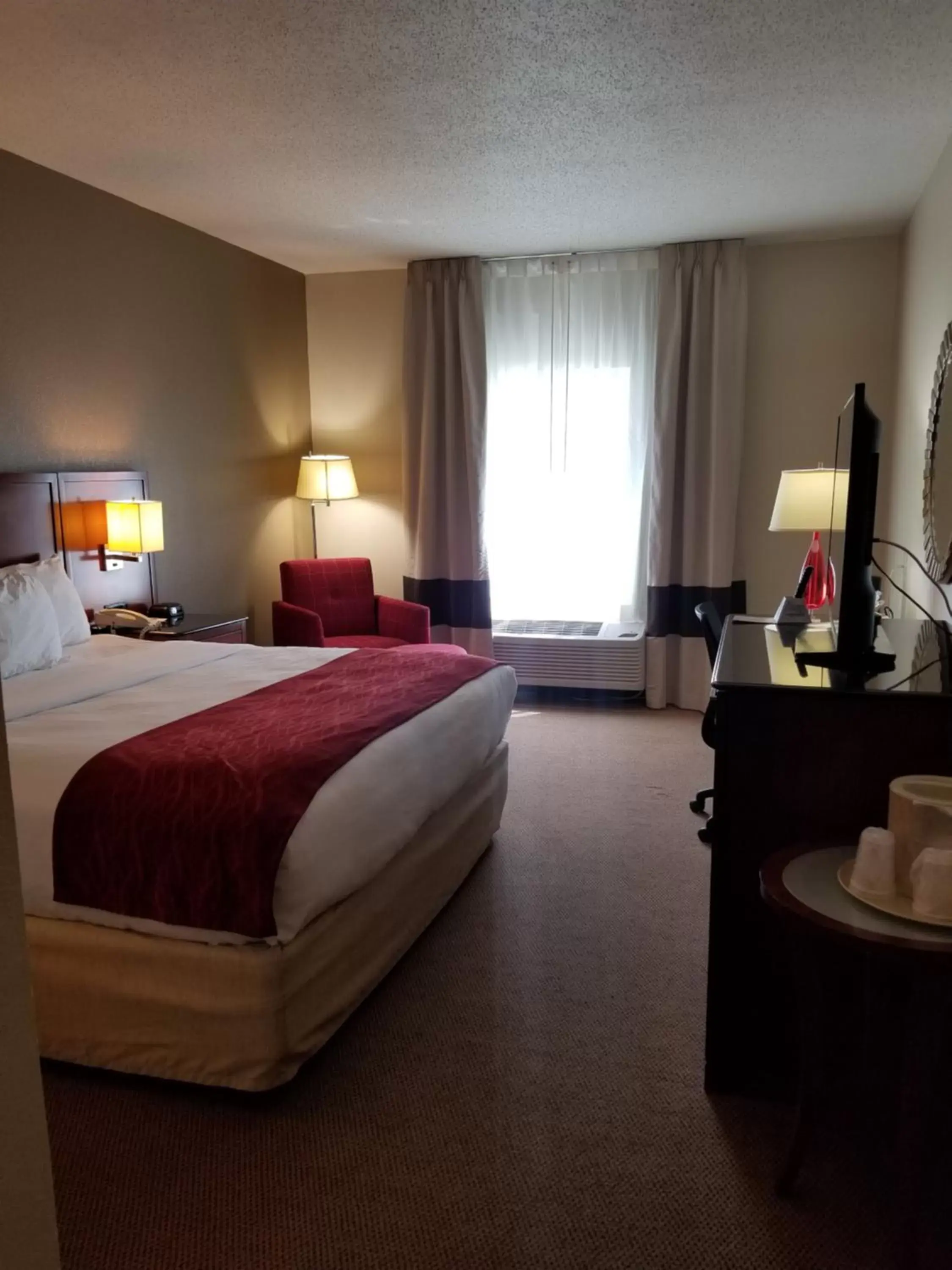King Room - Accessible/Non-Smoking in Comfort Inn & Suites Geneva- West Chicago