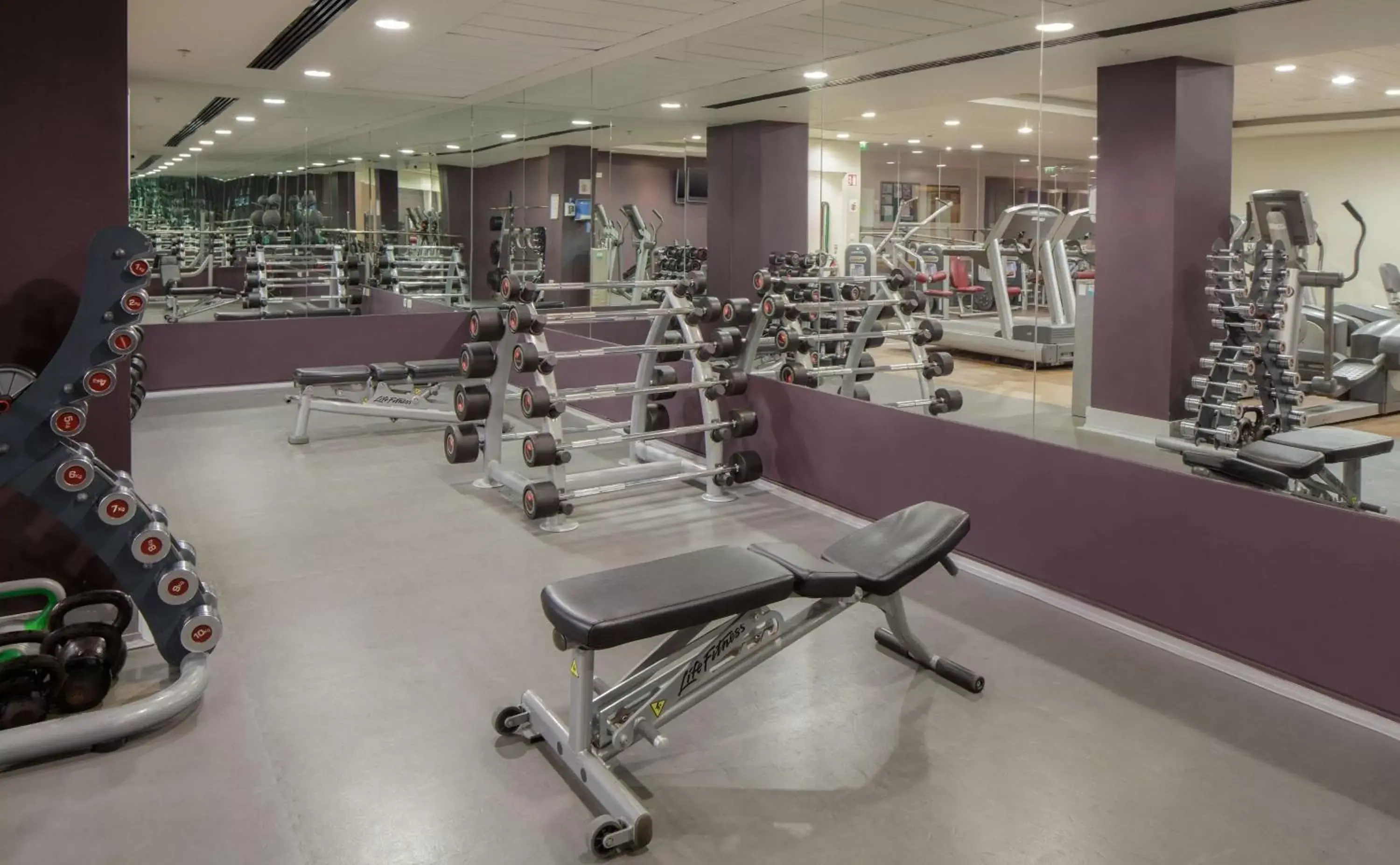 Fitness centre/facilities, Fitness Center/Facilities in Hilton Dublin Kilmainham